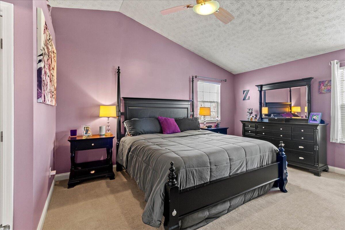 107 Curly Smart Circle