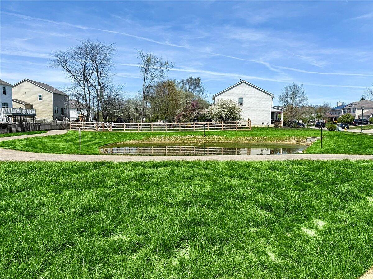 107 Curly Smart Circle