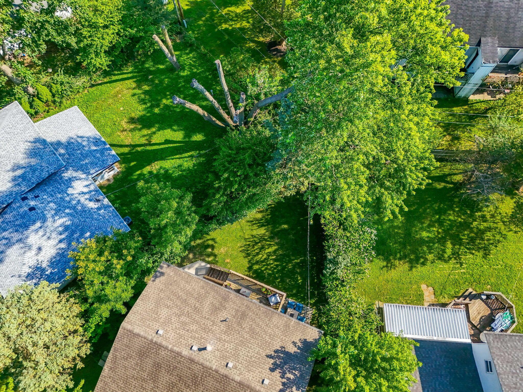 1981 Torchwood Drive