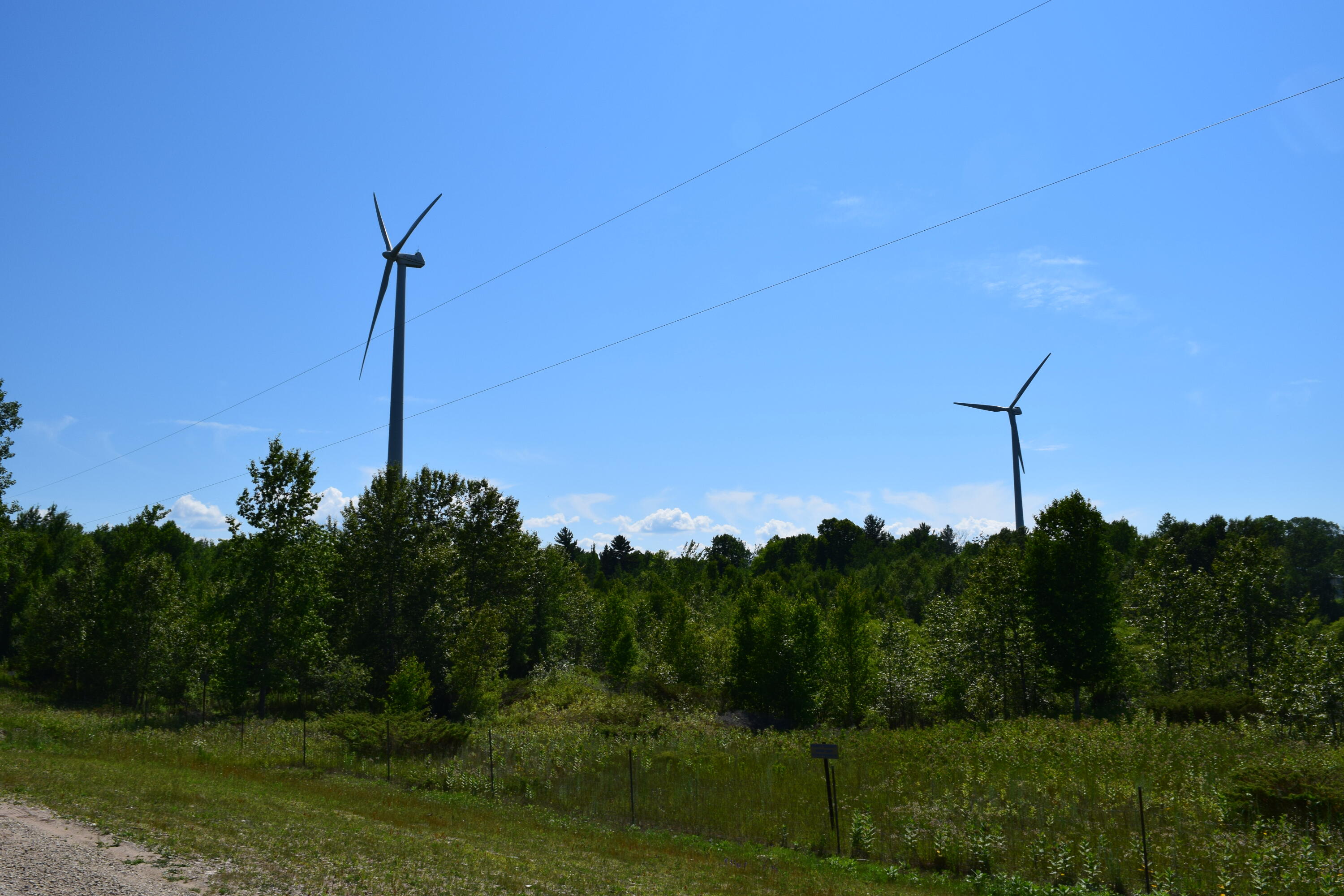 14768 Windmill Trail