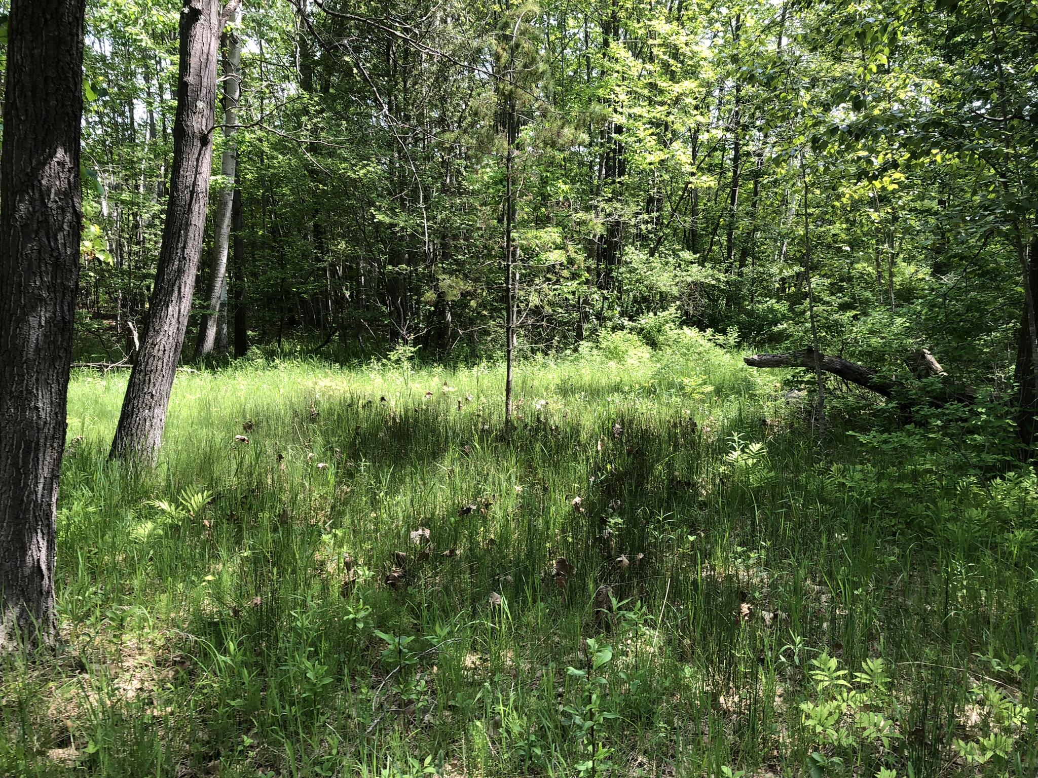 E Munro Lake Drive, 080-G07-000-005-00