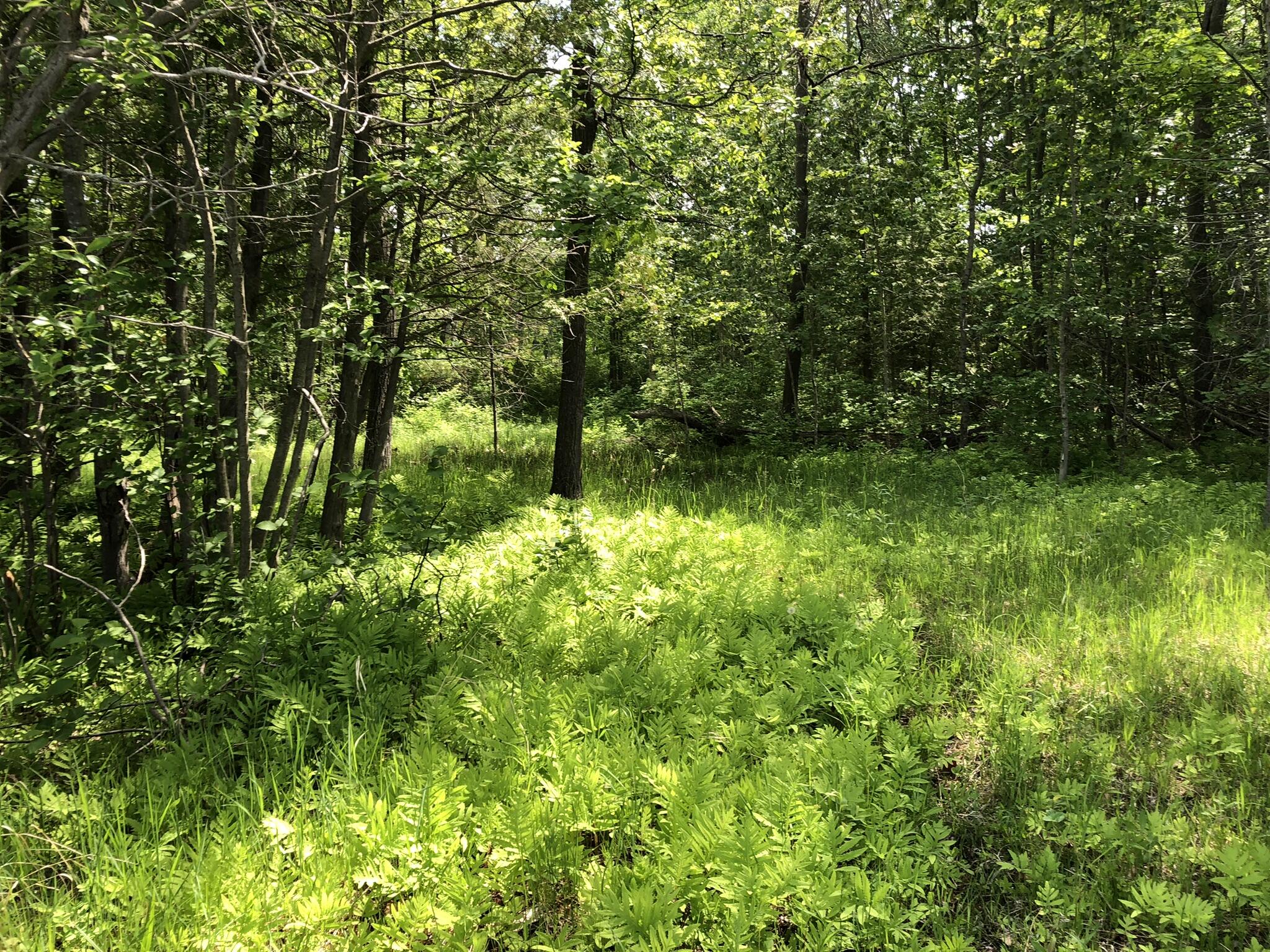 E Munro Lake Drive, 080-G07-000-005-00