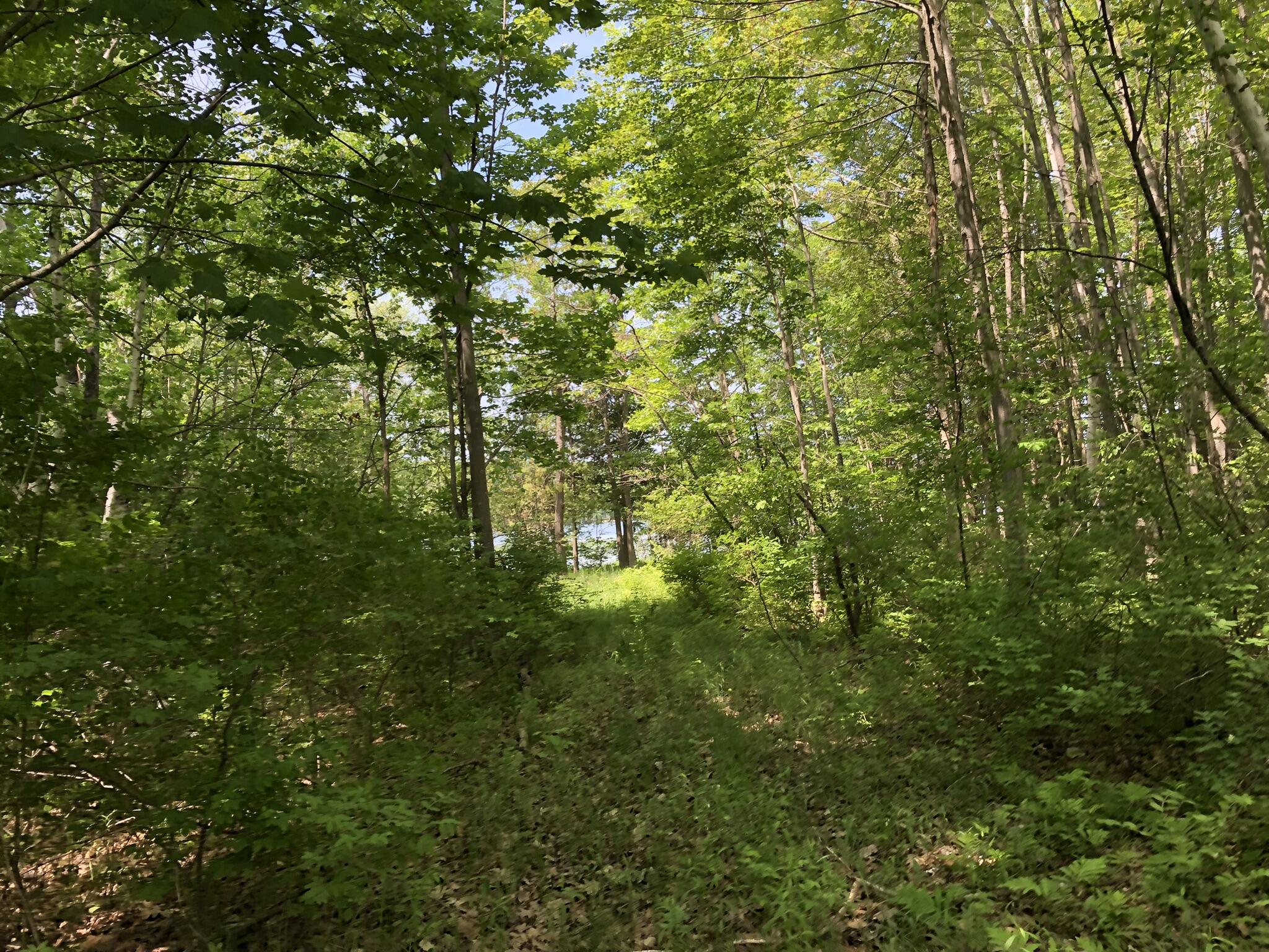 E Munro Lake Drive, 080-G07-000-005-00