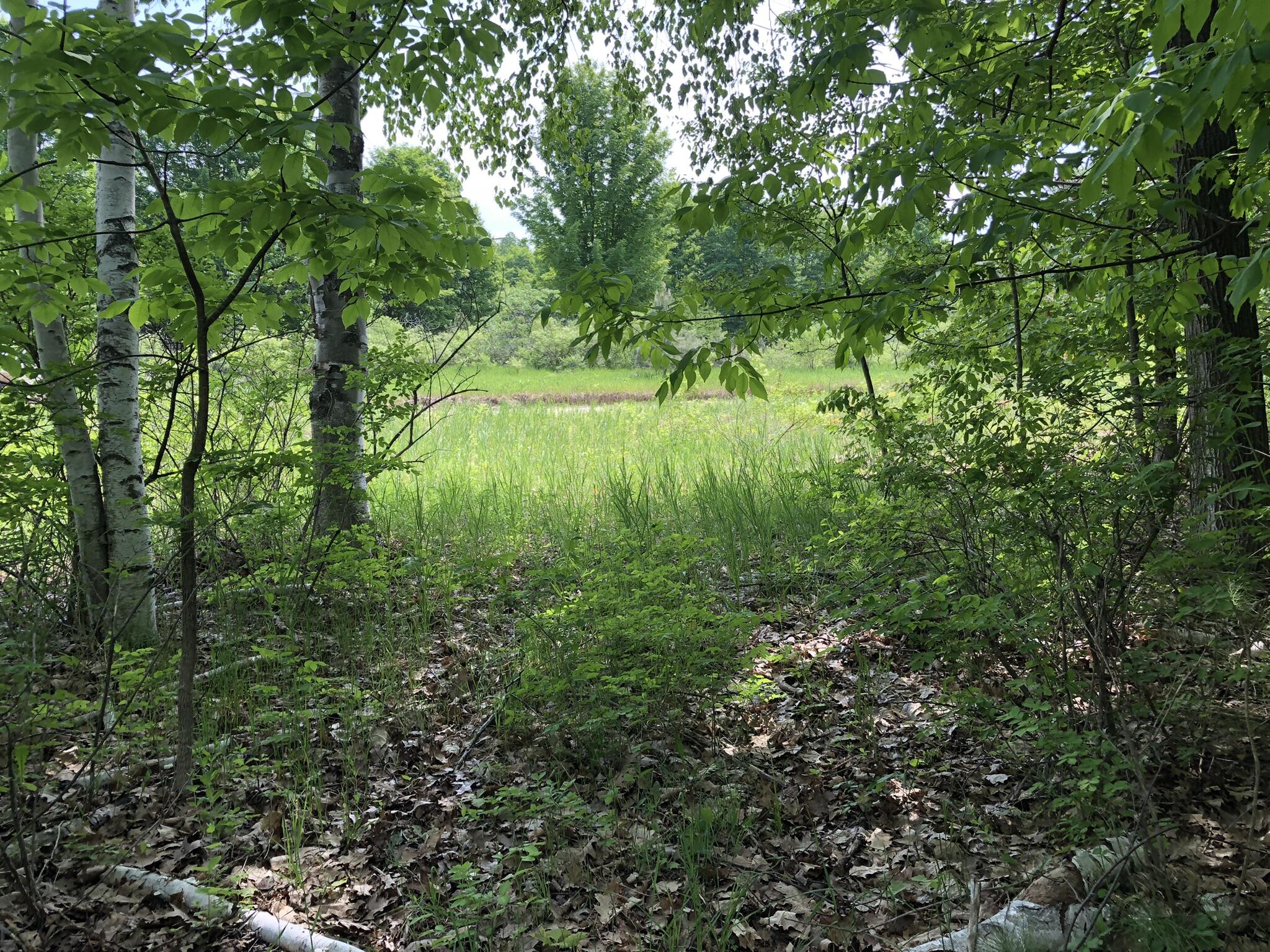 E Munro Lake Drive, 080-G07-000-005-00