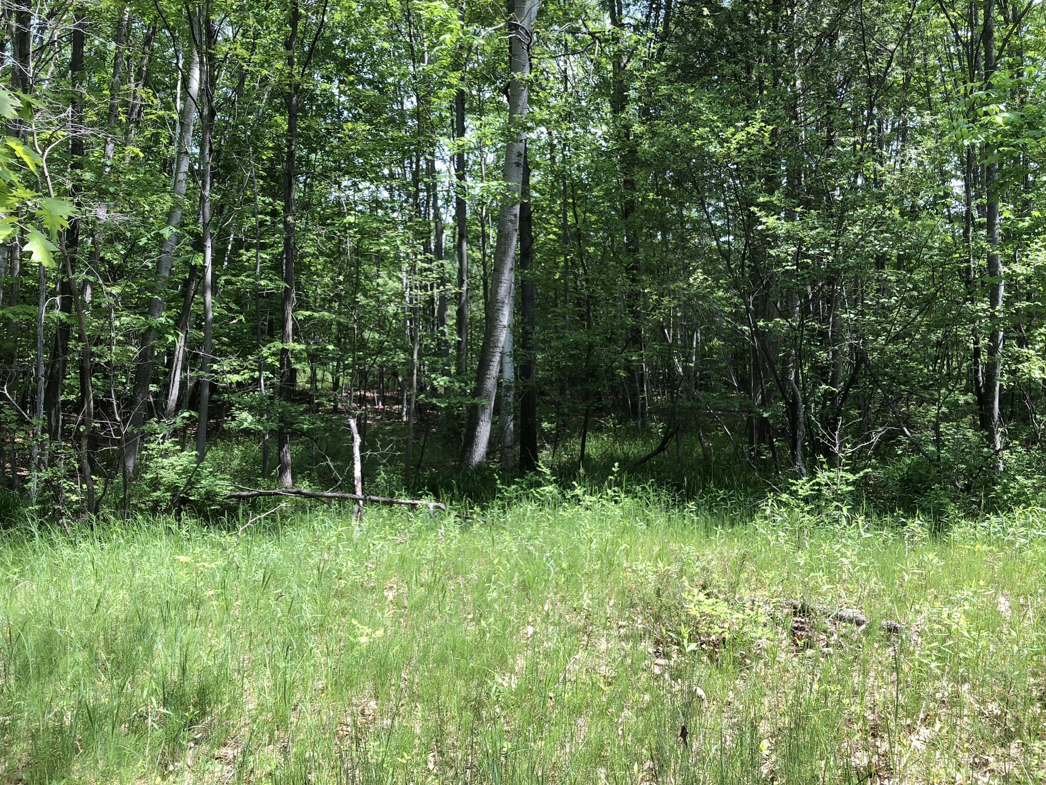 E Munro Lake Drive, 080-G07-000-005-00