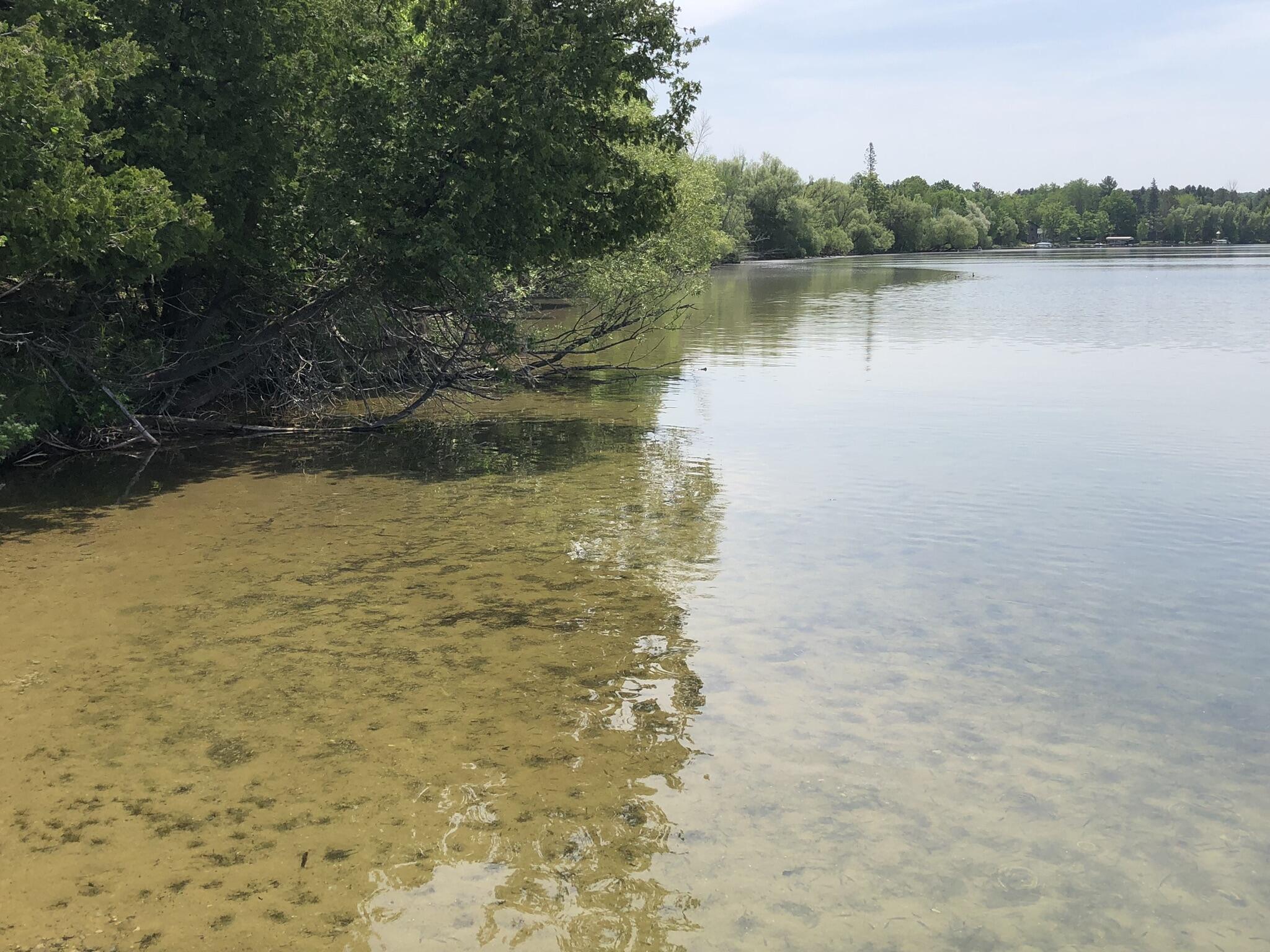 E Munro Lake Drive, 080-G07-000-005-00