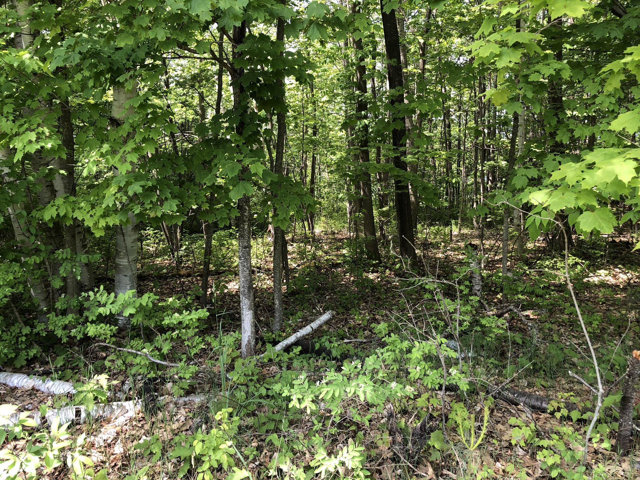 E Munro Lake Drive, 080-G07-000-005-00