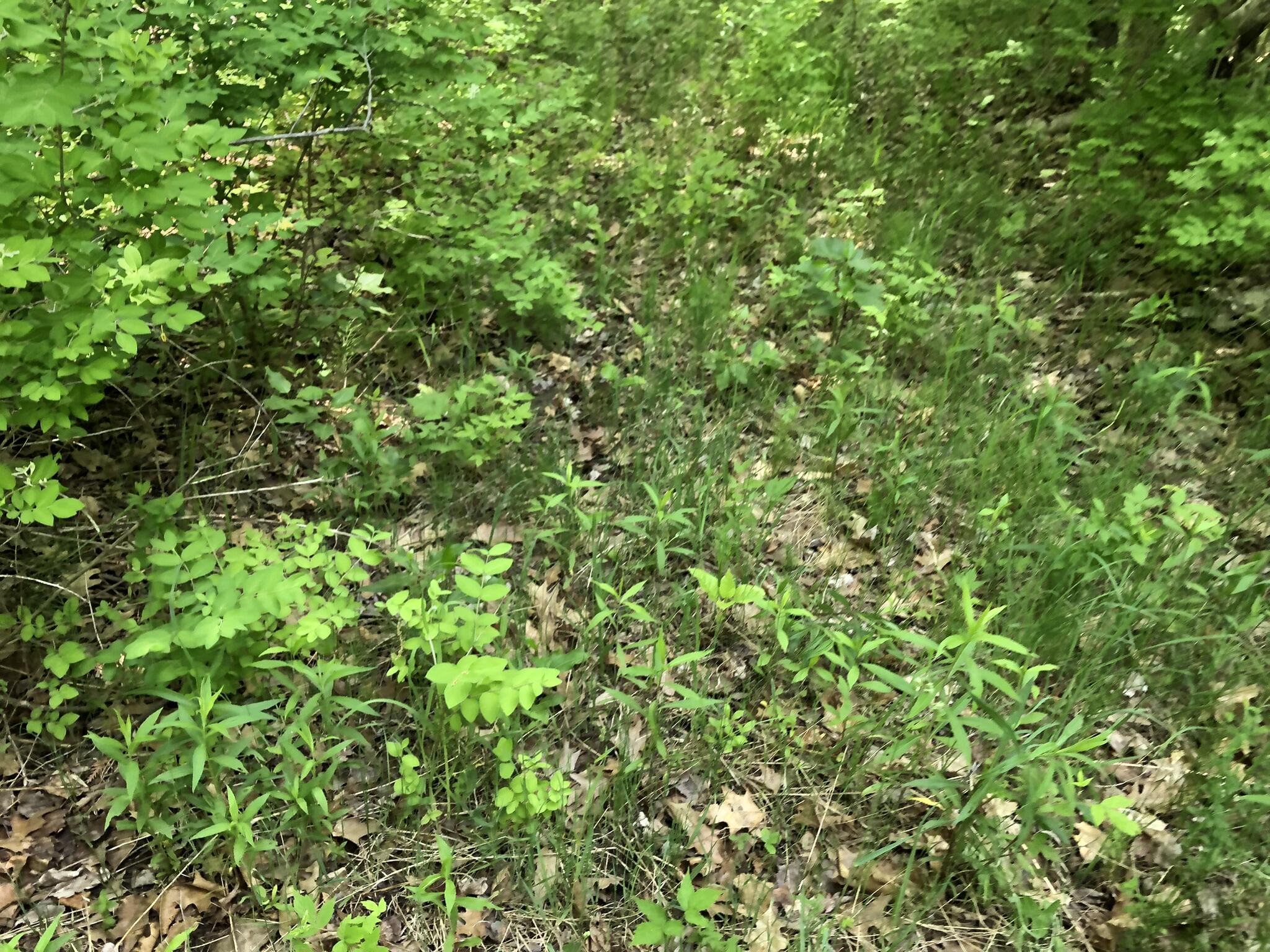 E Munro Lake Drive, 080-G07-000-005-00