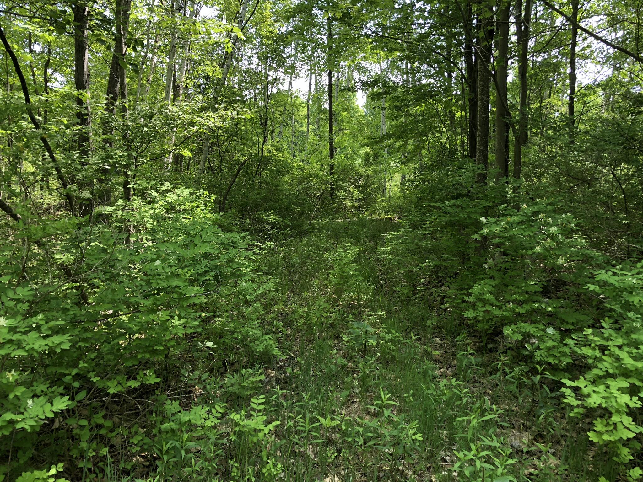 E Munro Lake Drive, 080-G07-000-005-00