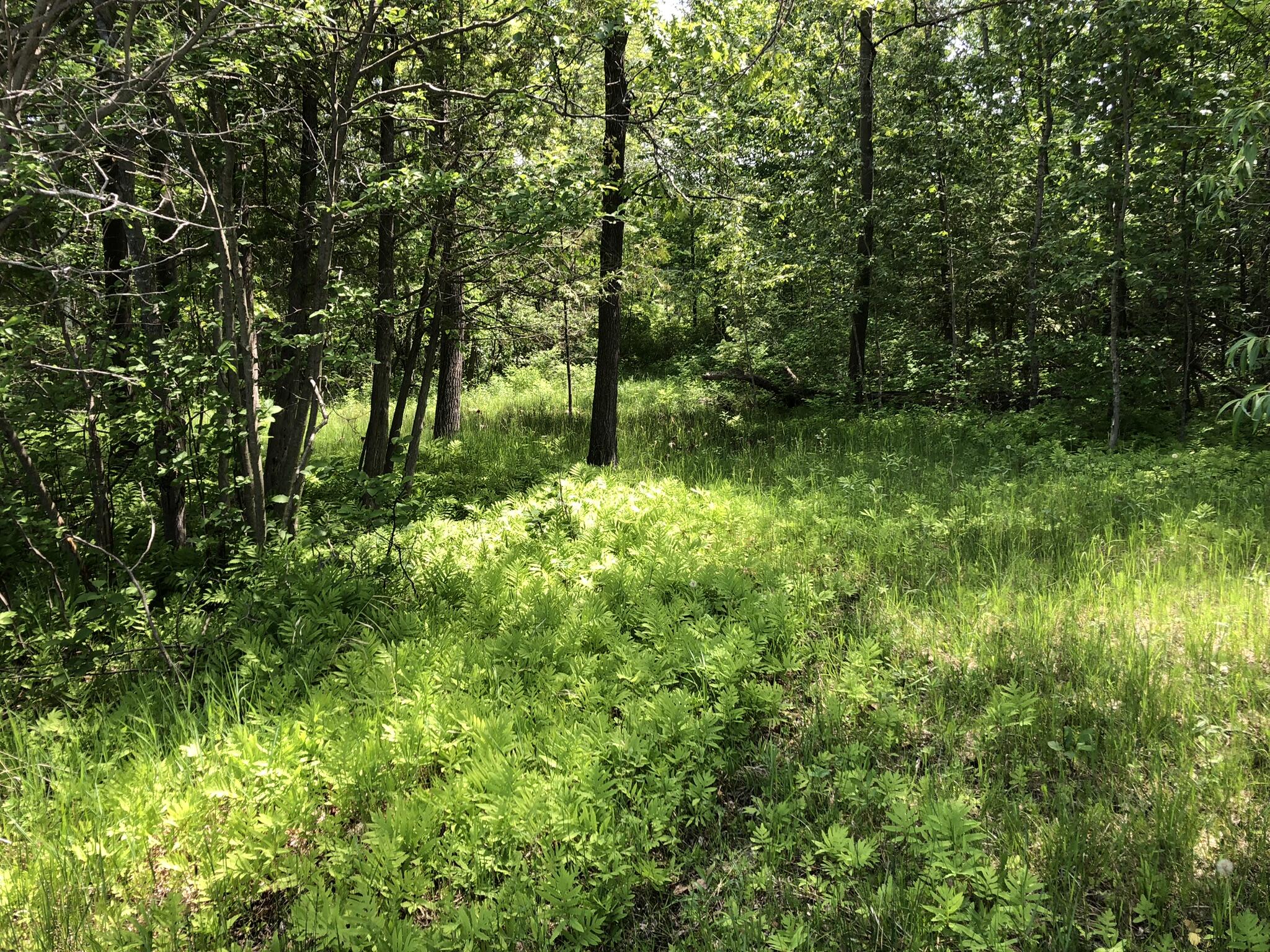 E Munro Lake Drive, 080-G07-000-005-00