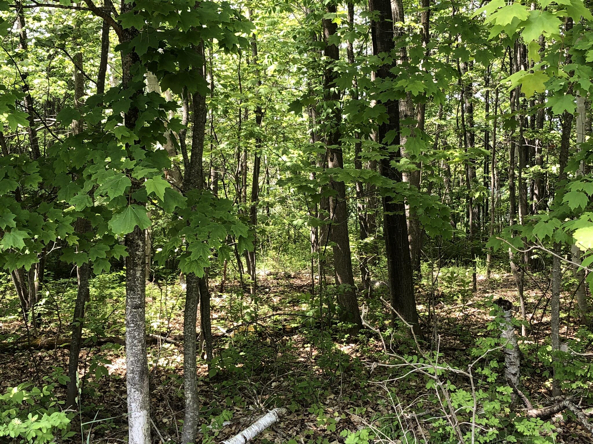 E Munro Lake Drive, 080-G07-000-005-00