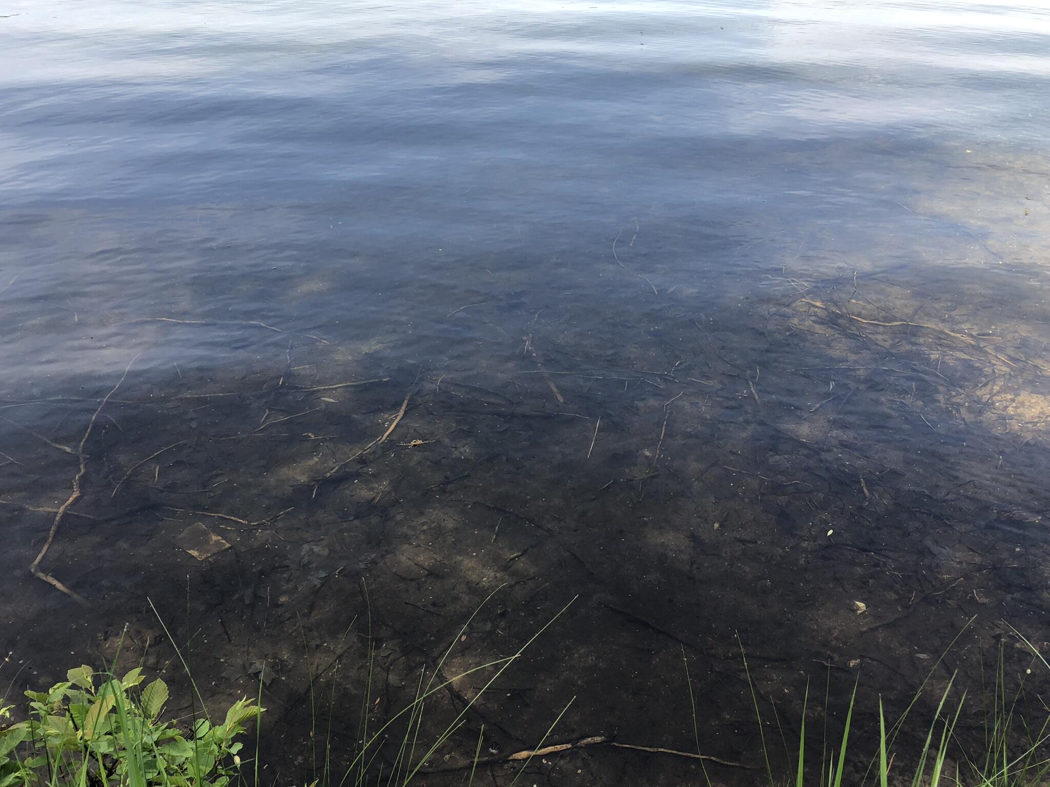 E Munro Lake Drive, 080-G07-000-005-00