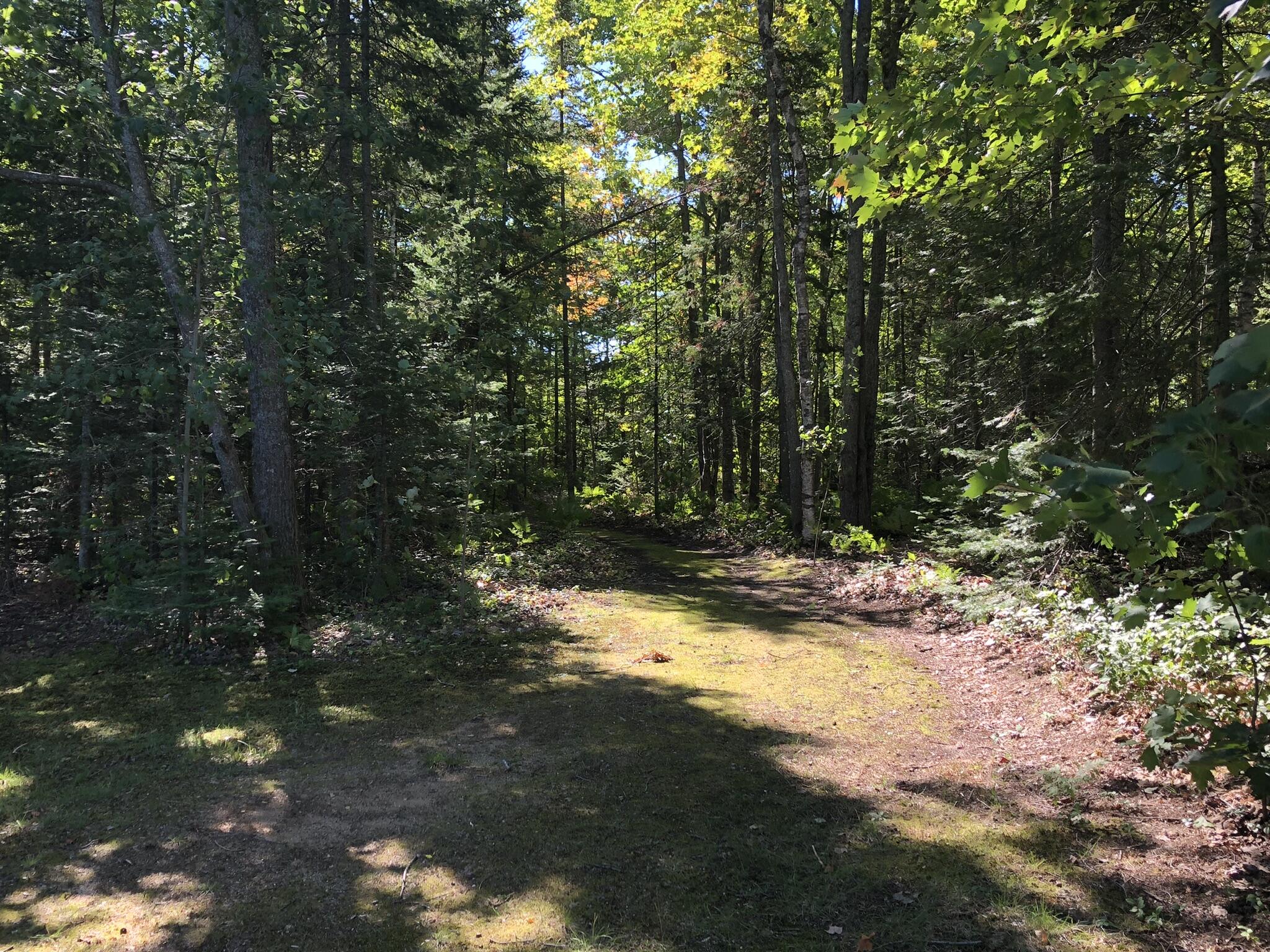 7900 E US-23 Highway