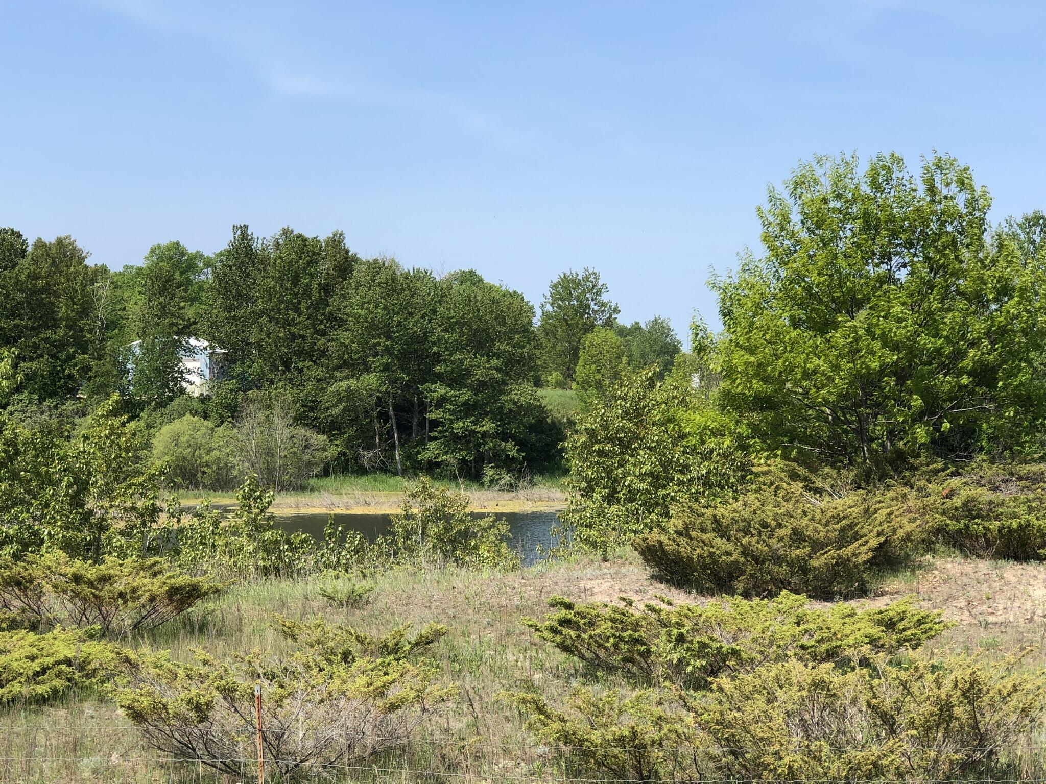14780 Windmill Trail