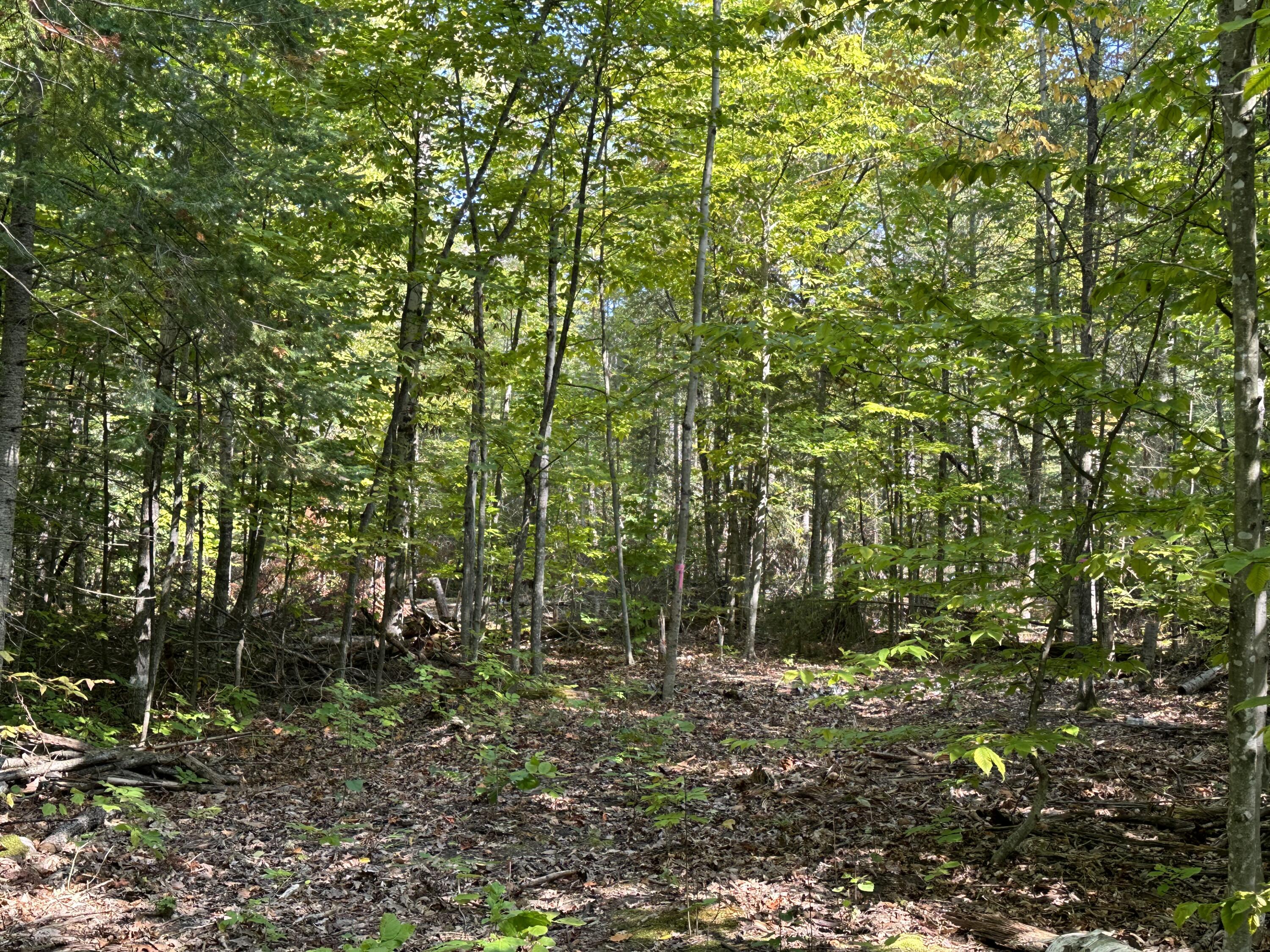 1702 Trails End Road