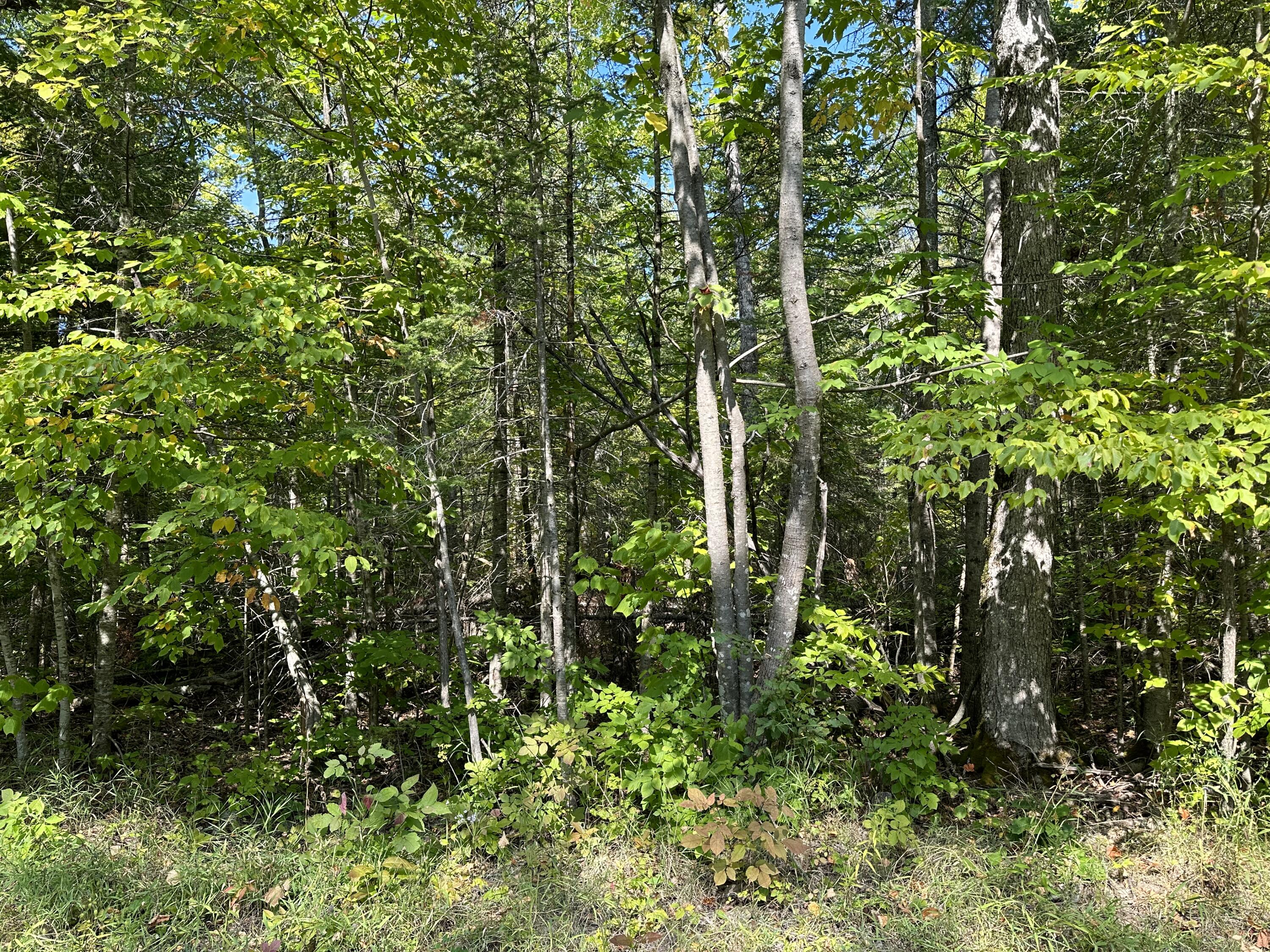 1702 Trails End Road
