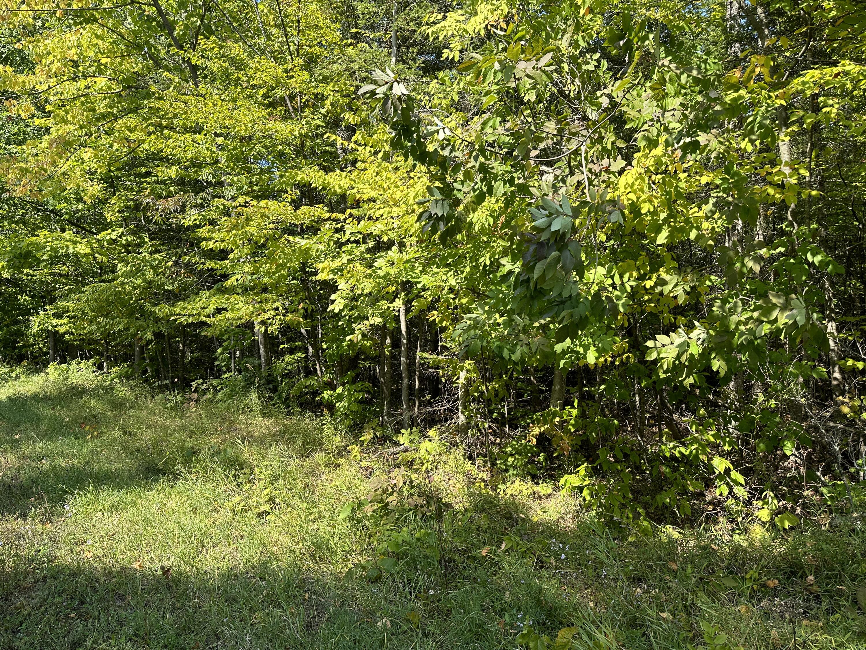 1702 Trails End Road