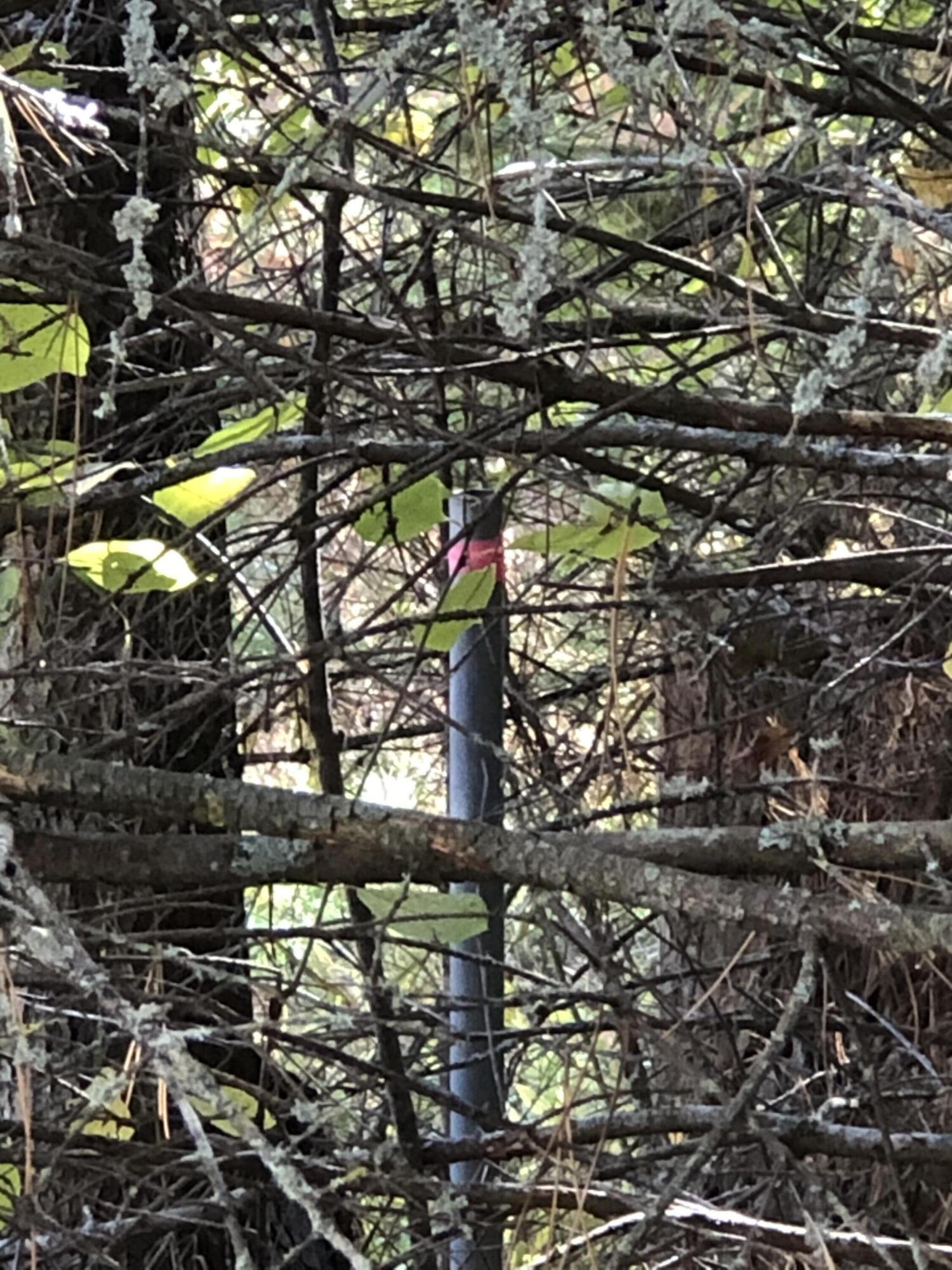 W Etherington Street, 42-03-12-476-149