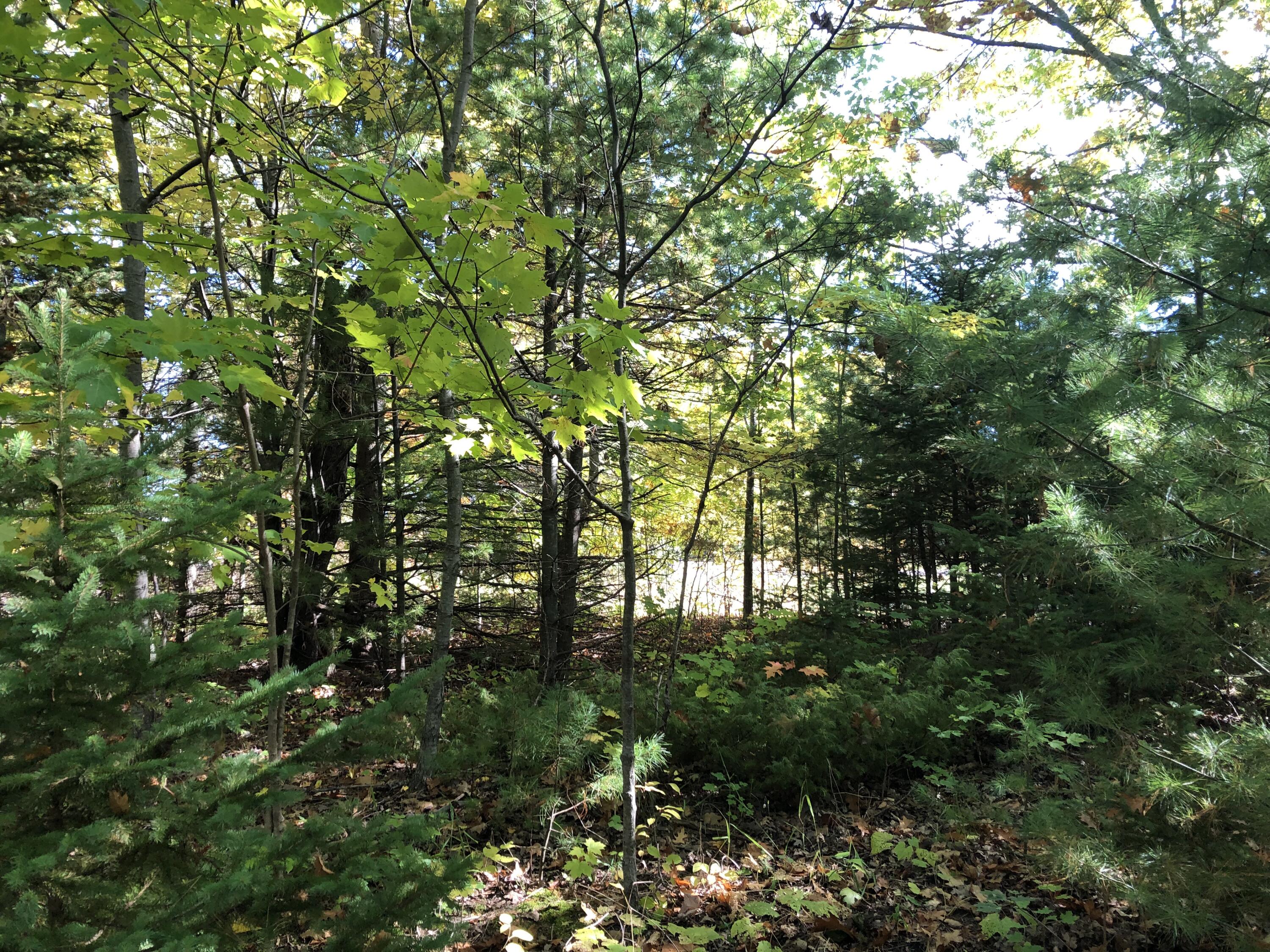 W Etherington Street, 42-03-12-476-149