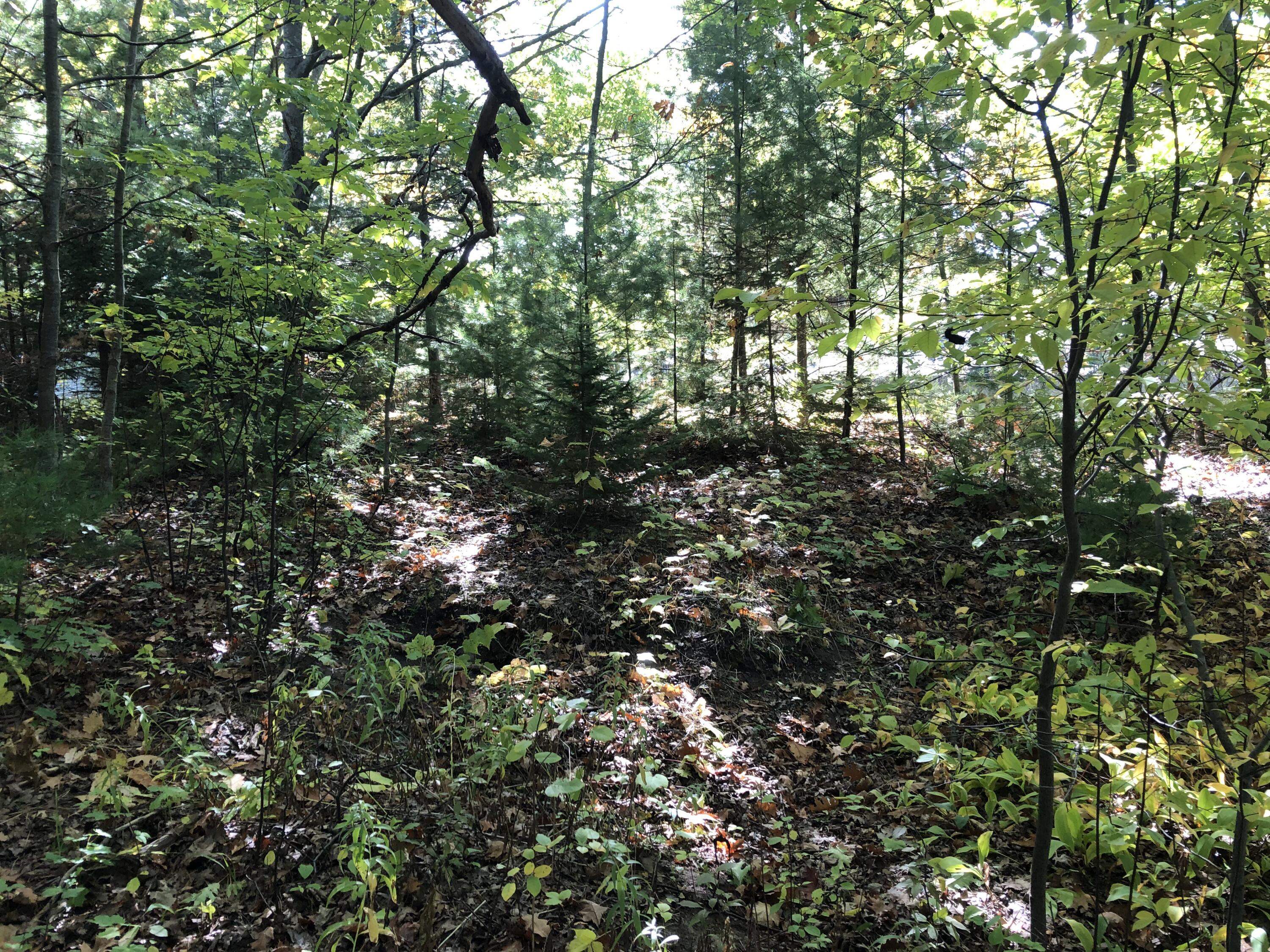 W Etherington Street, 42-03-12-476-149