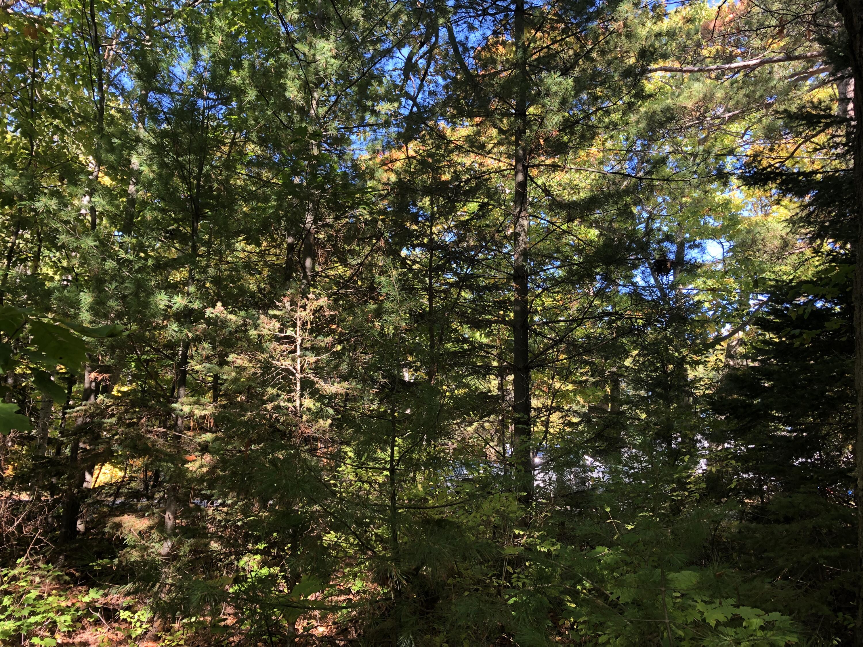 W Etherington Street, 42-03-12-476-149