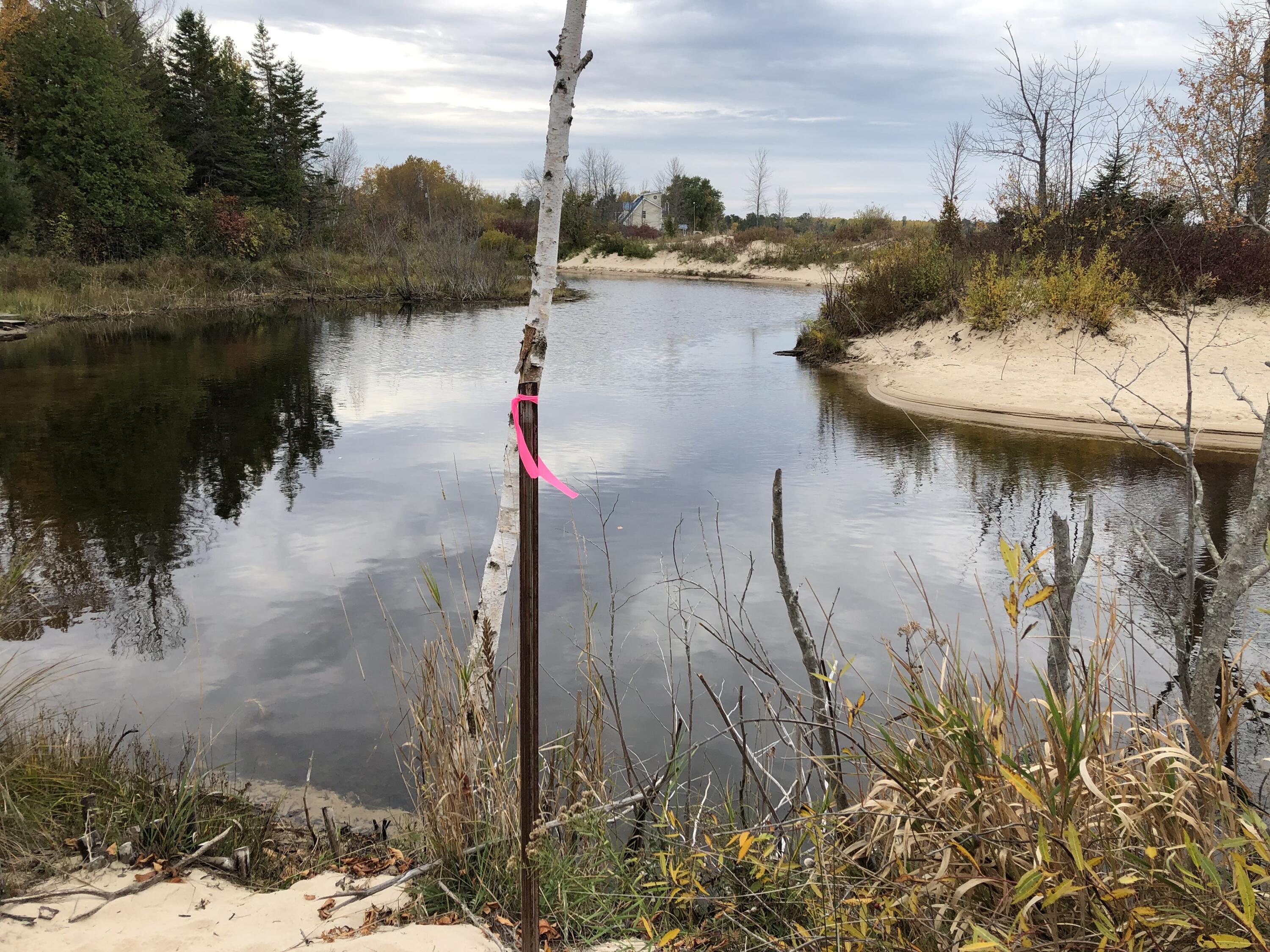 4319 Straits View Drive