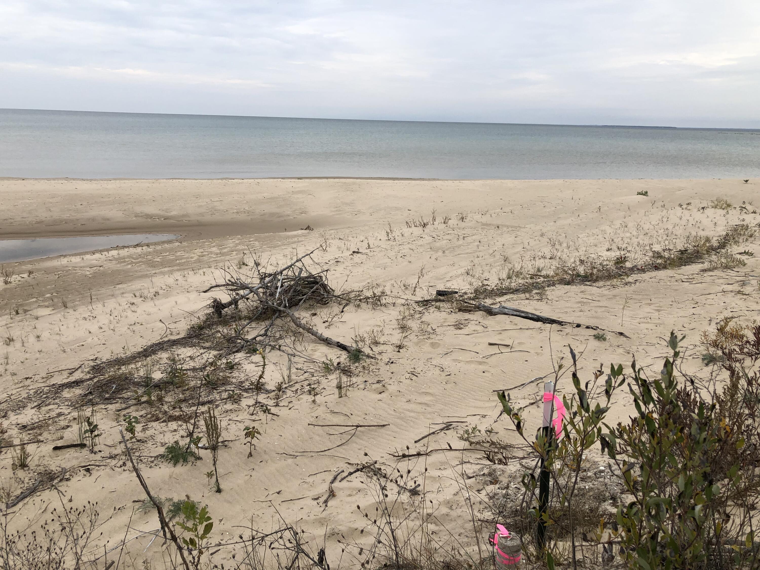 4319 Straits View Drive