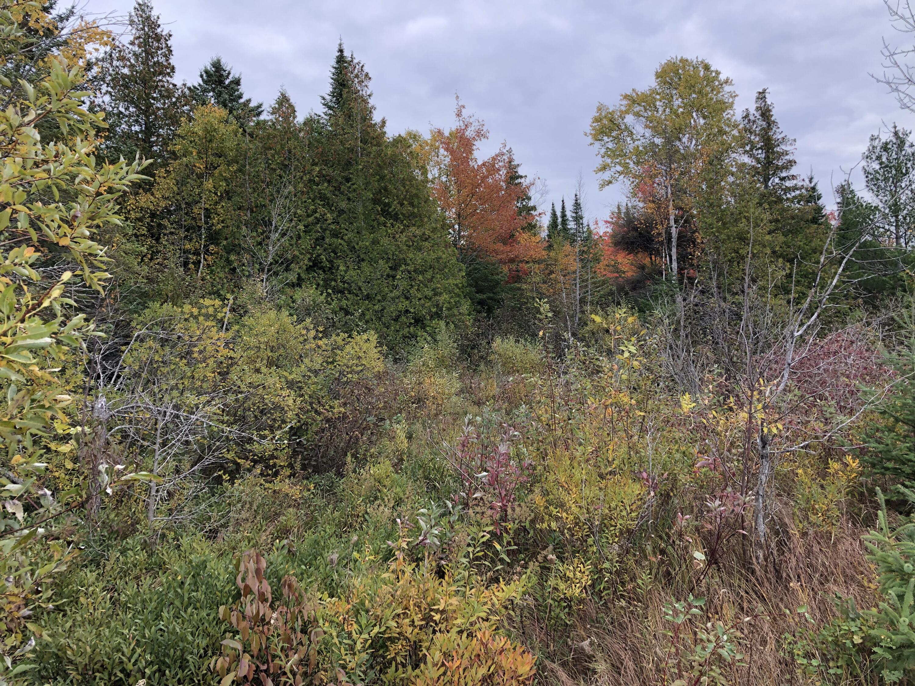 4319 Straits View Drive