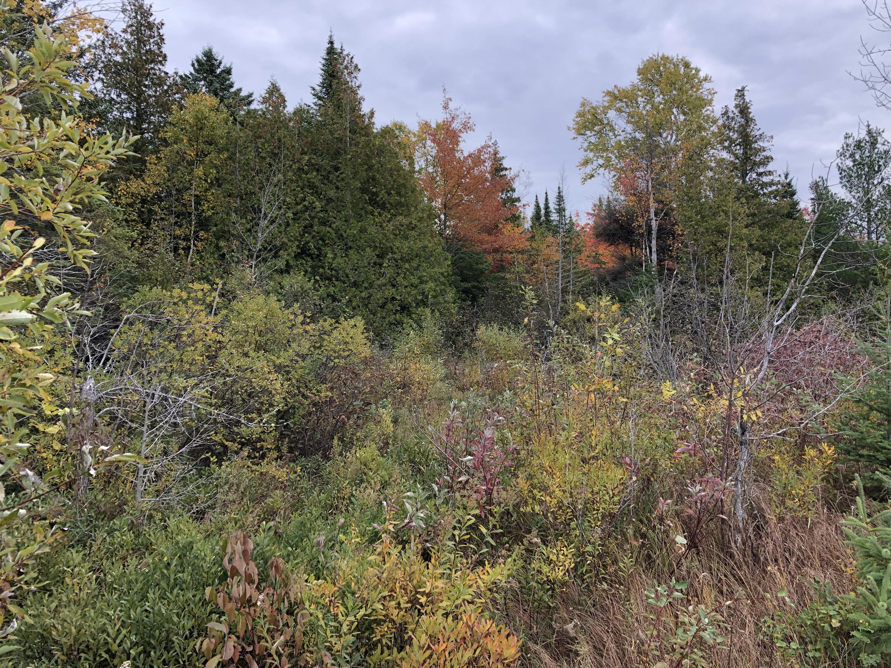 4319 Straits View Drive