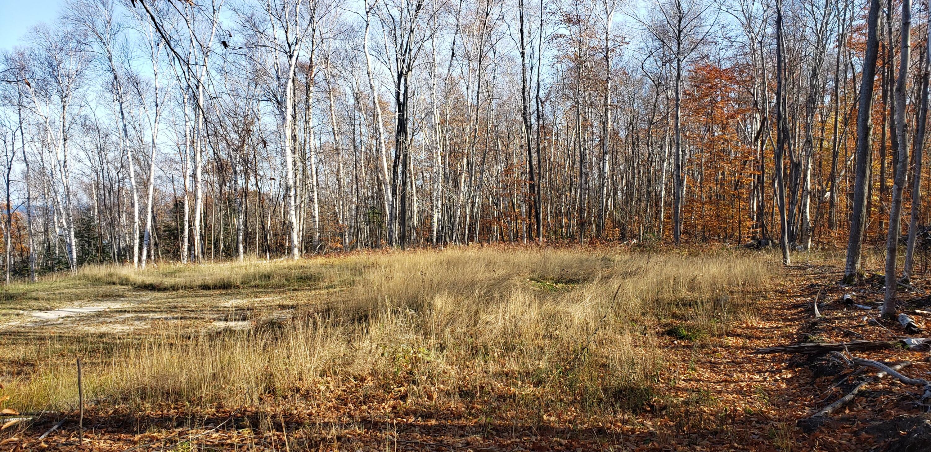 12455 E US-23 Highway, Lots 174, 175, 176
