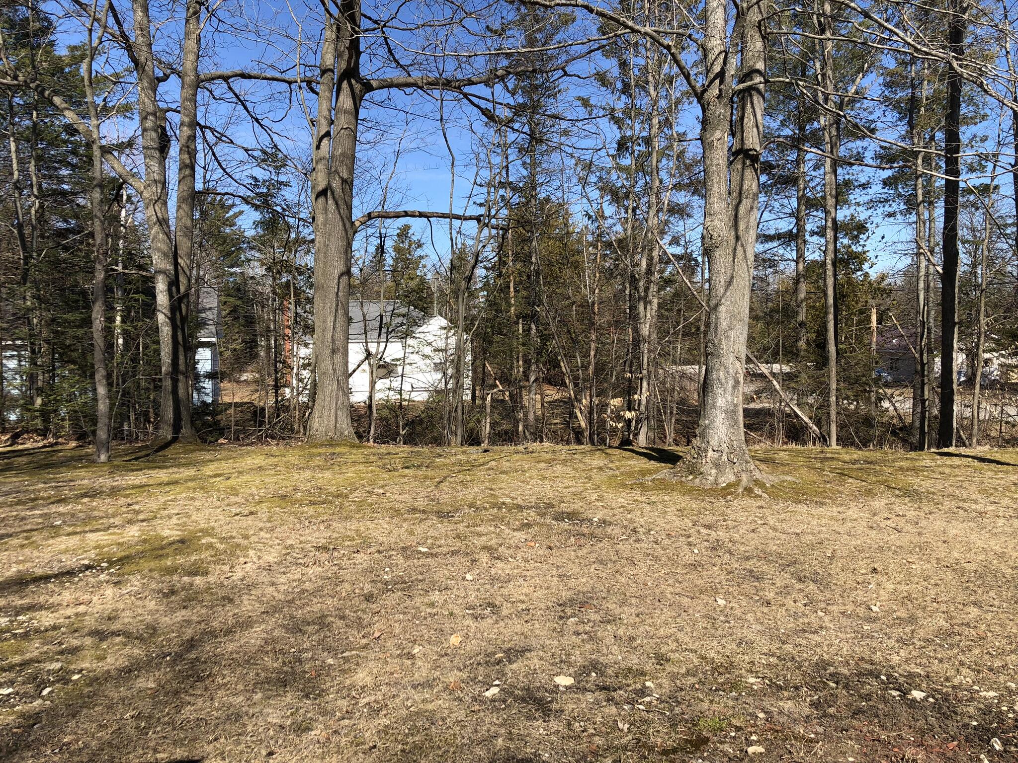 914 W Cadillac Street