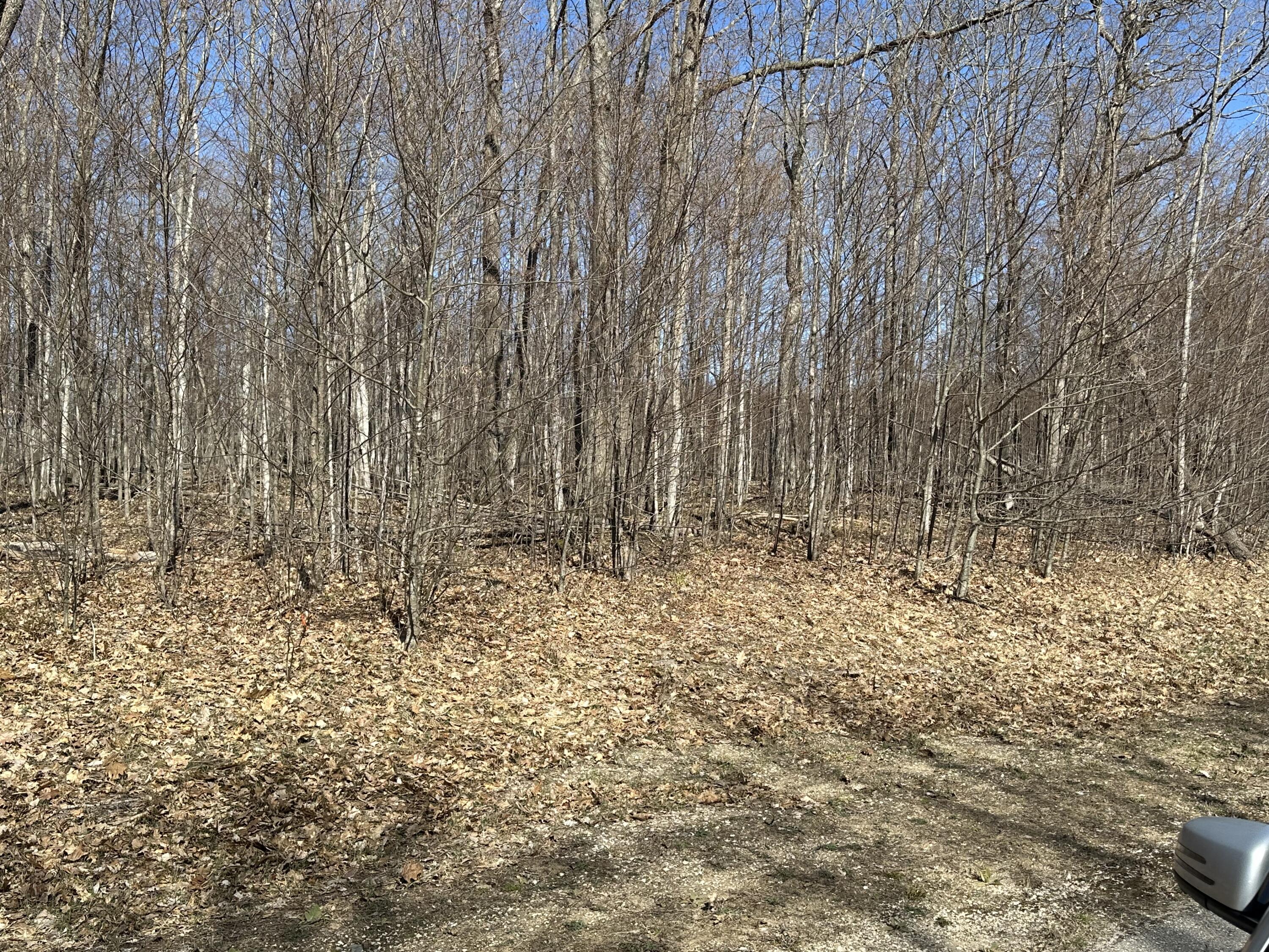 Sugar Ridge Lane, Lots 16 & 17