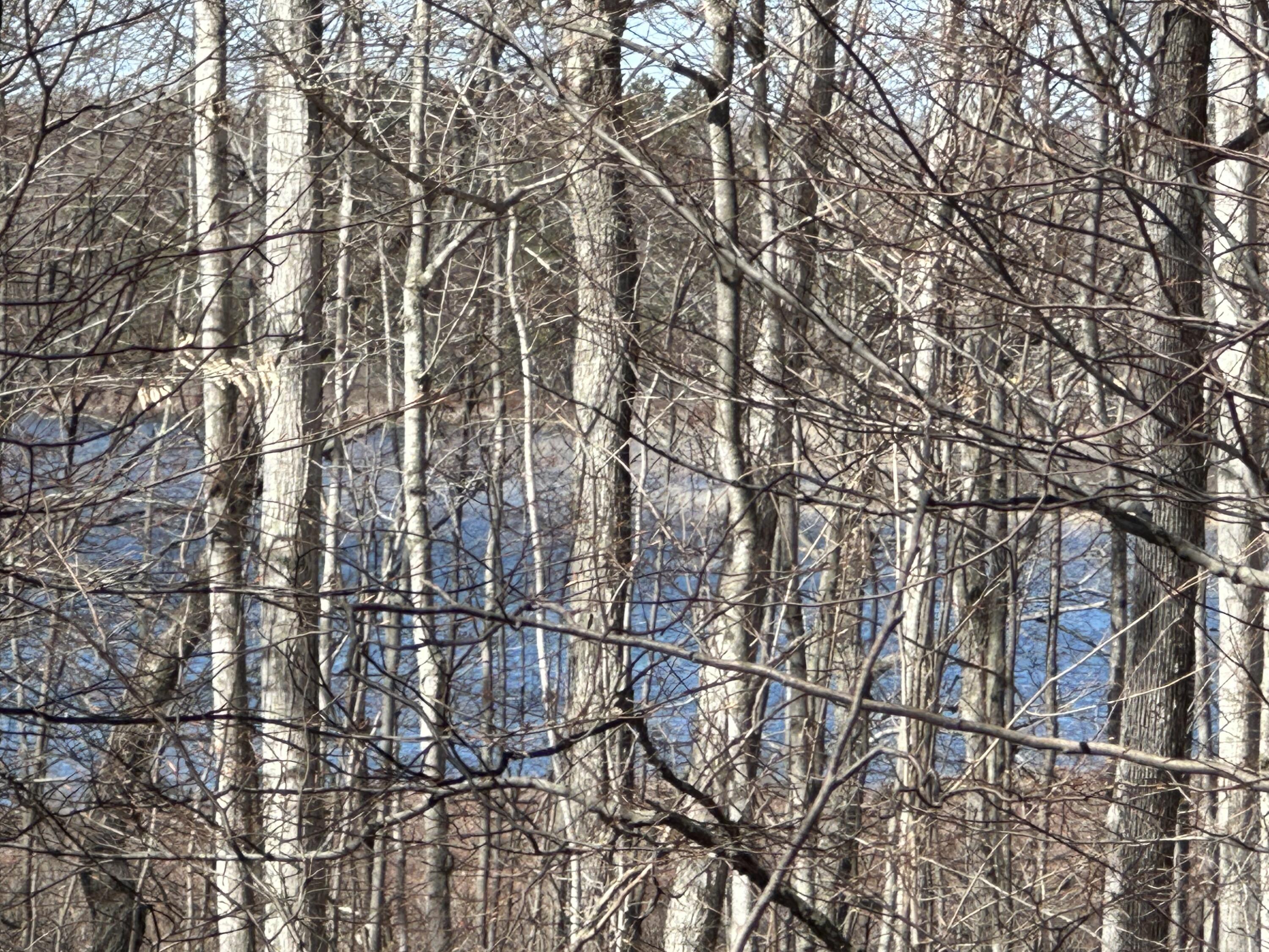 Sugar Ridge Lane, Lots 16 & 17