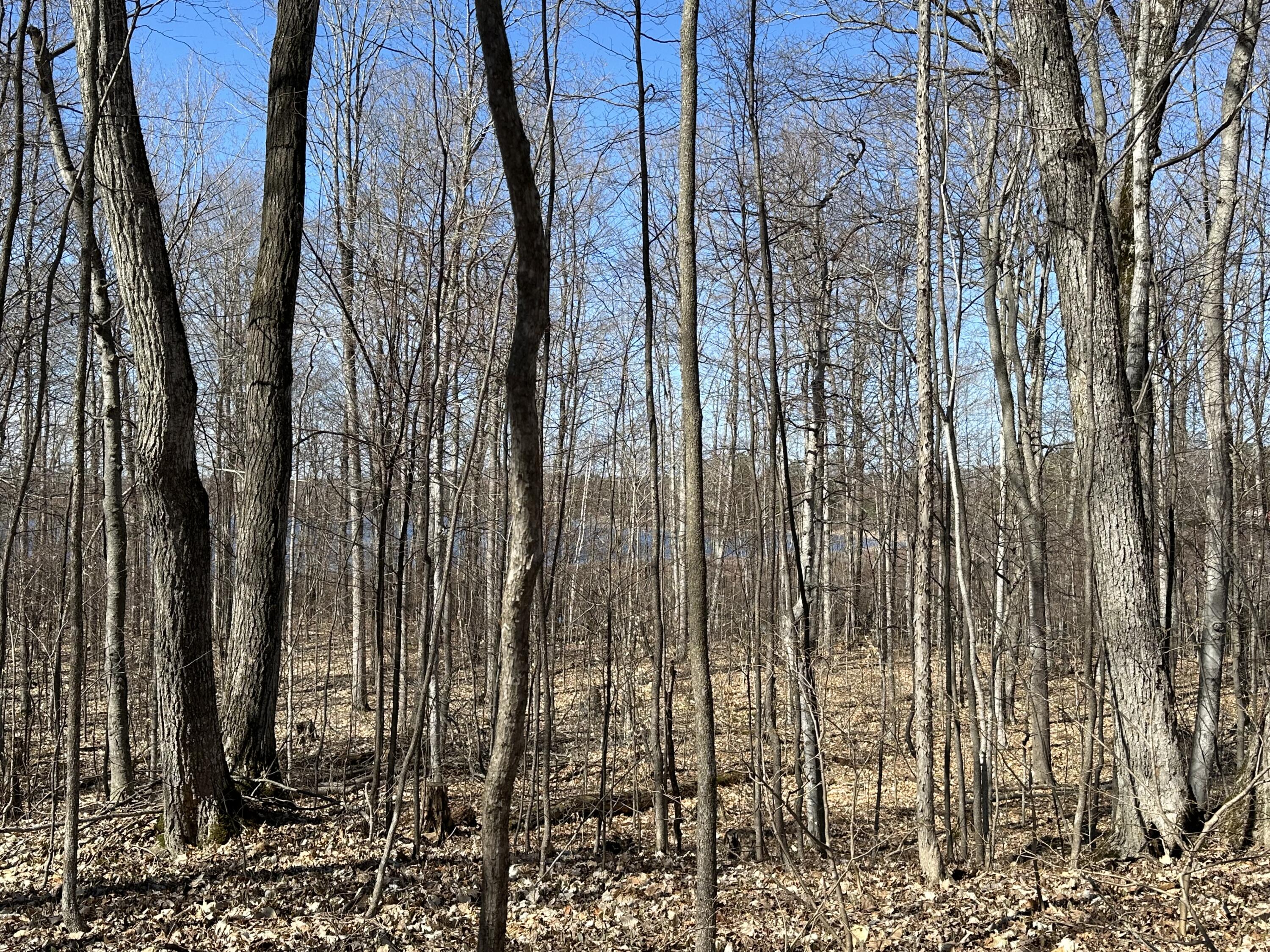 Sugar Ridge Lane, Lots 16 & 17