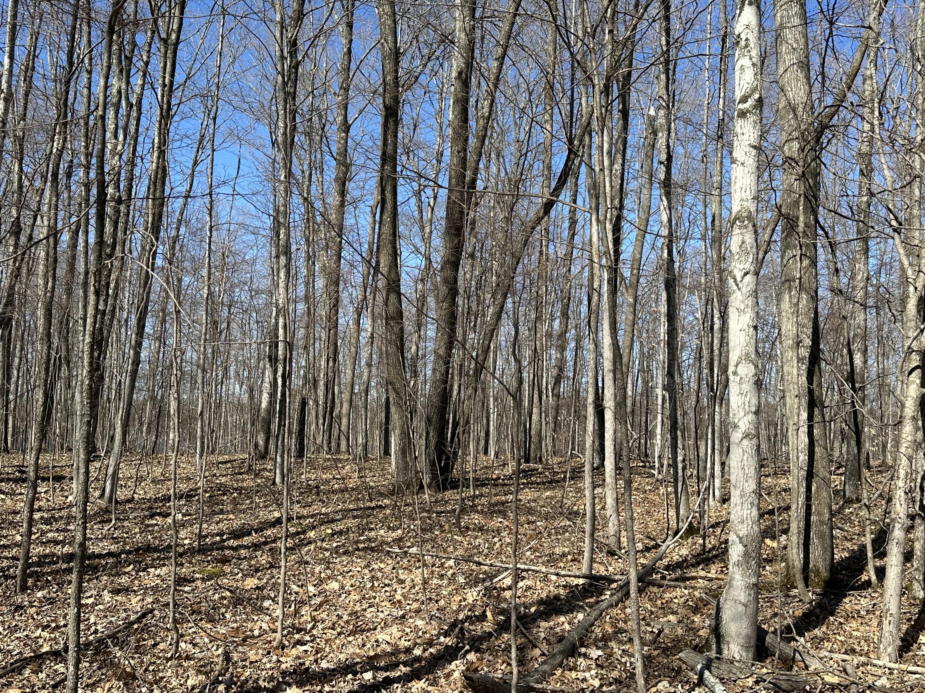 Sugar Ridge Lane, Lots 16 & 17