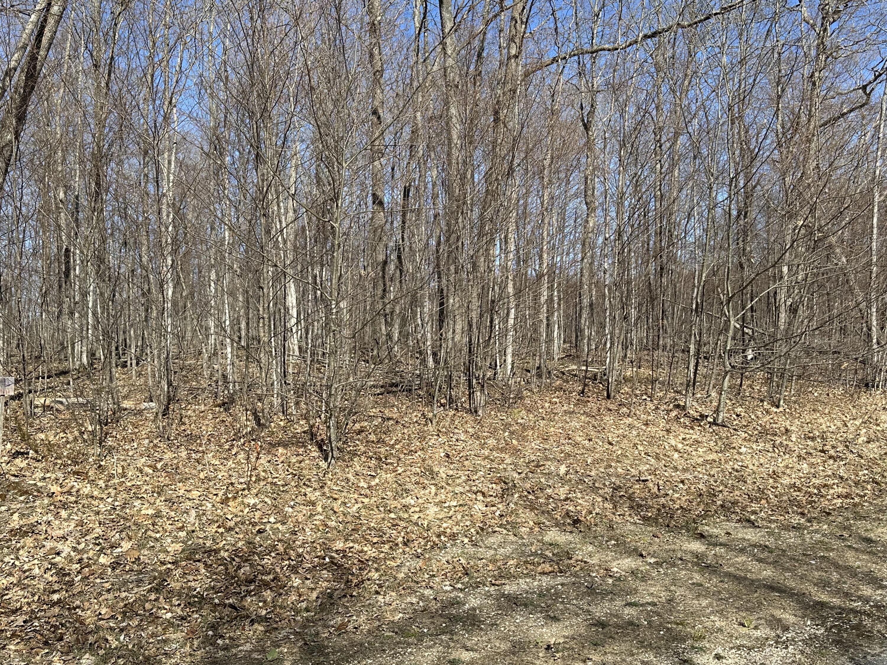 Sugar Ridge Lane, Lots 16 & 17