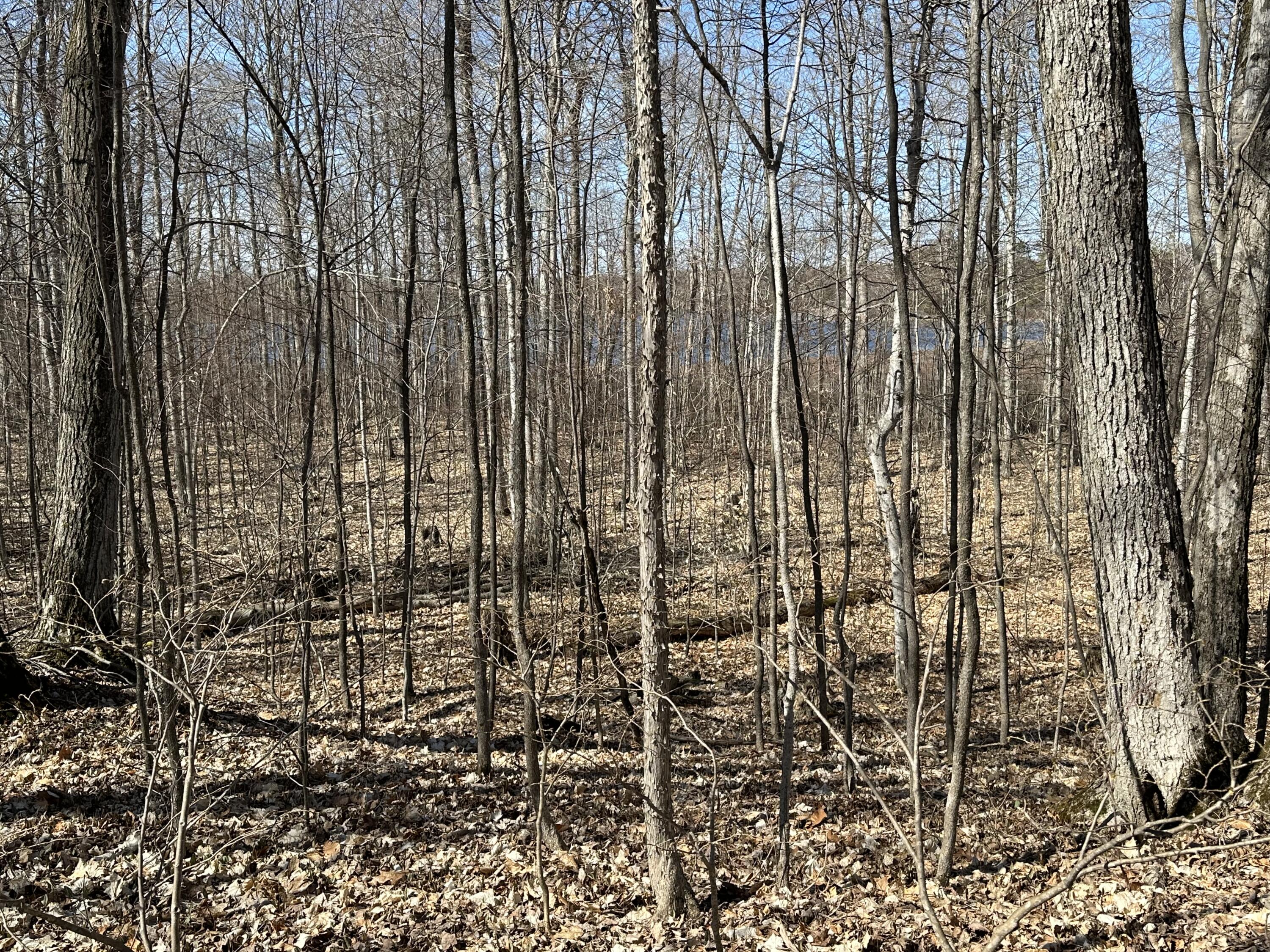 Sugar Ridge Lane, Lots 16 & 17