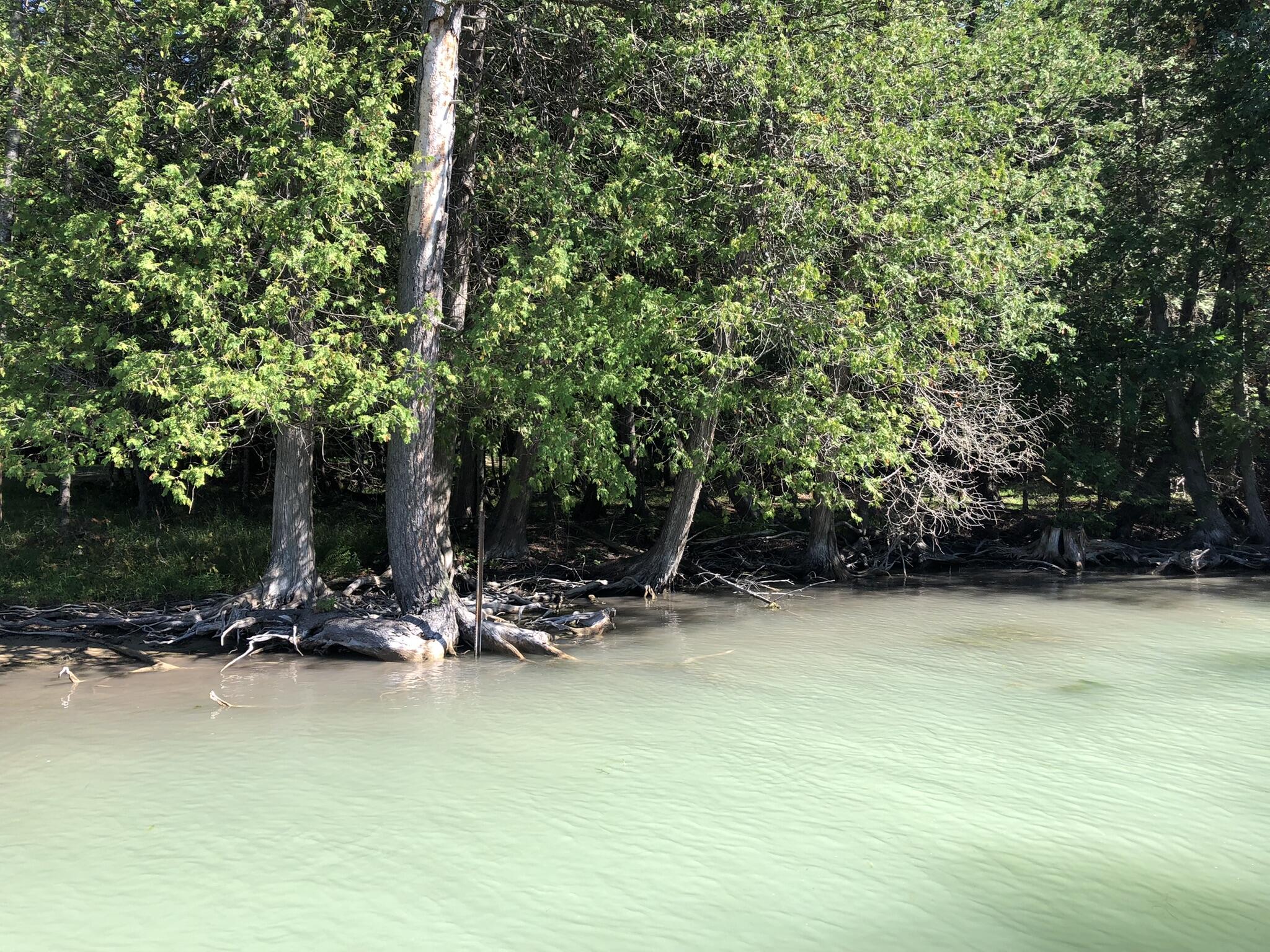 TBD Banwell Road, 17.68 Acres