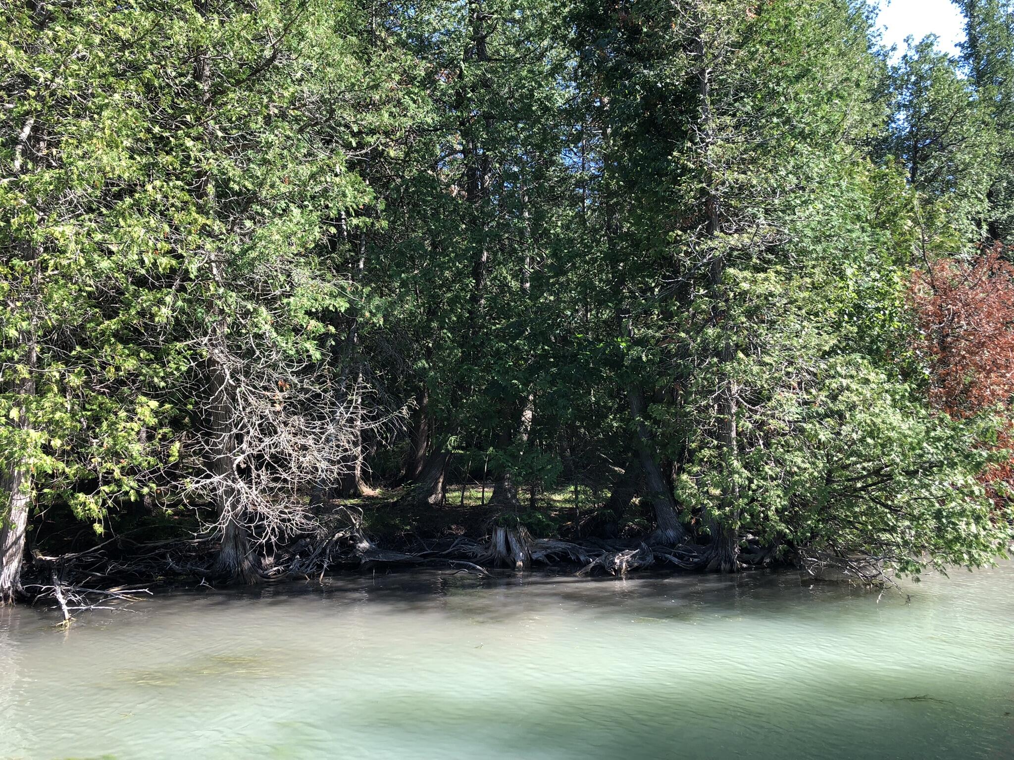 TBD Banwell Road, 17.68 Acres