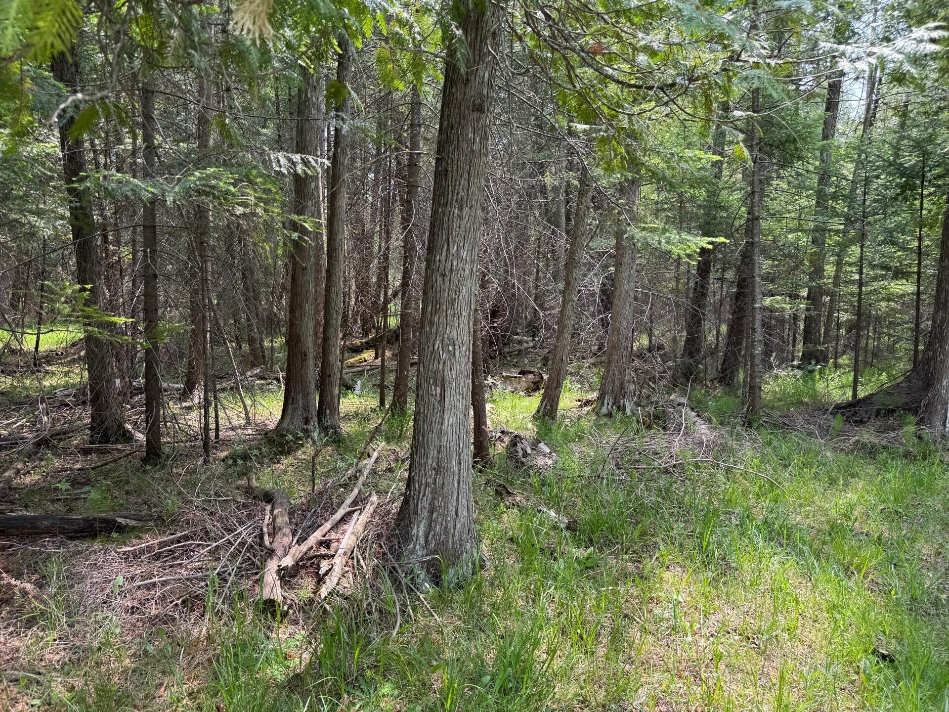 TBD Banwell Road, 17.68 Acres