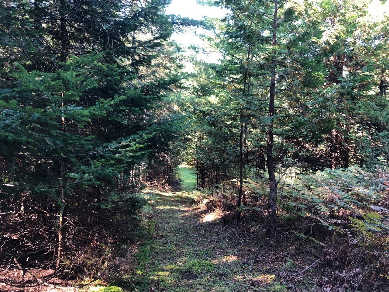 TBD Banwell Road, 17.68 Acres