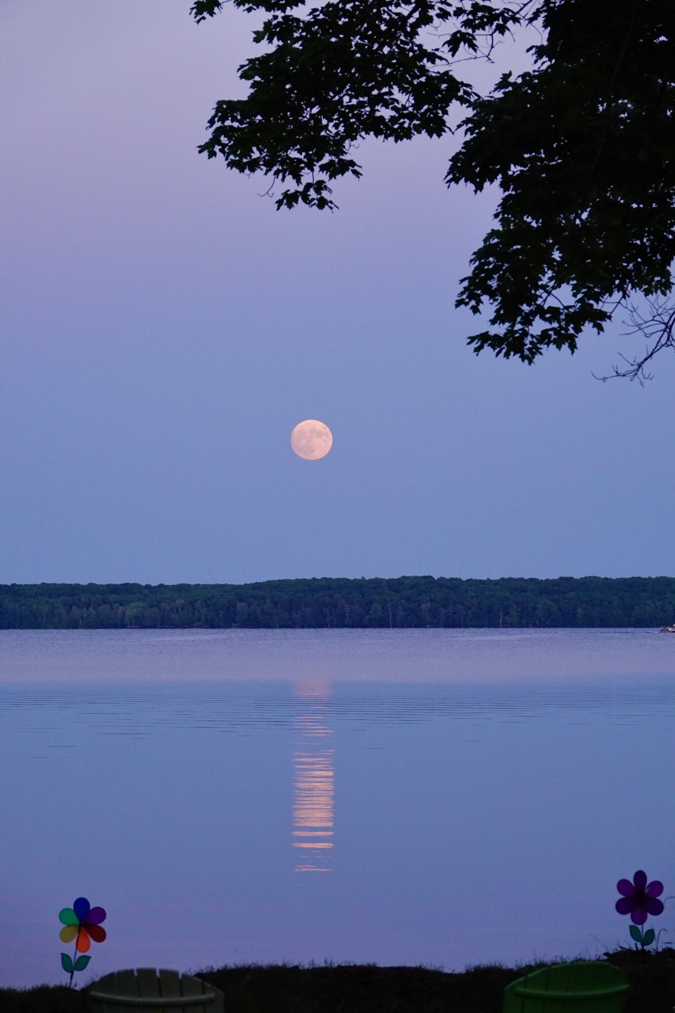 9230 Silver Strand Road