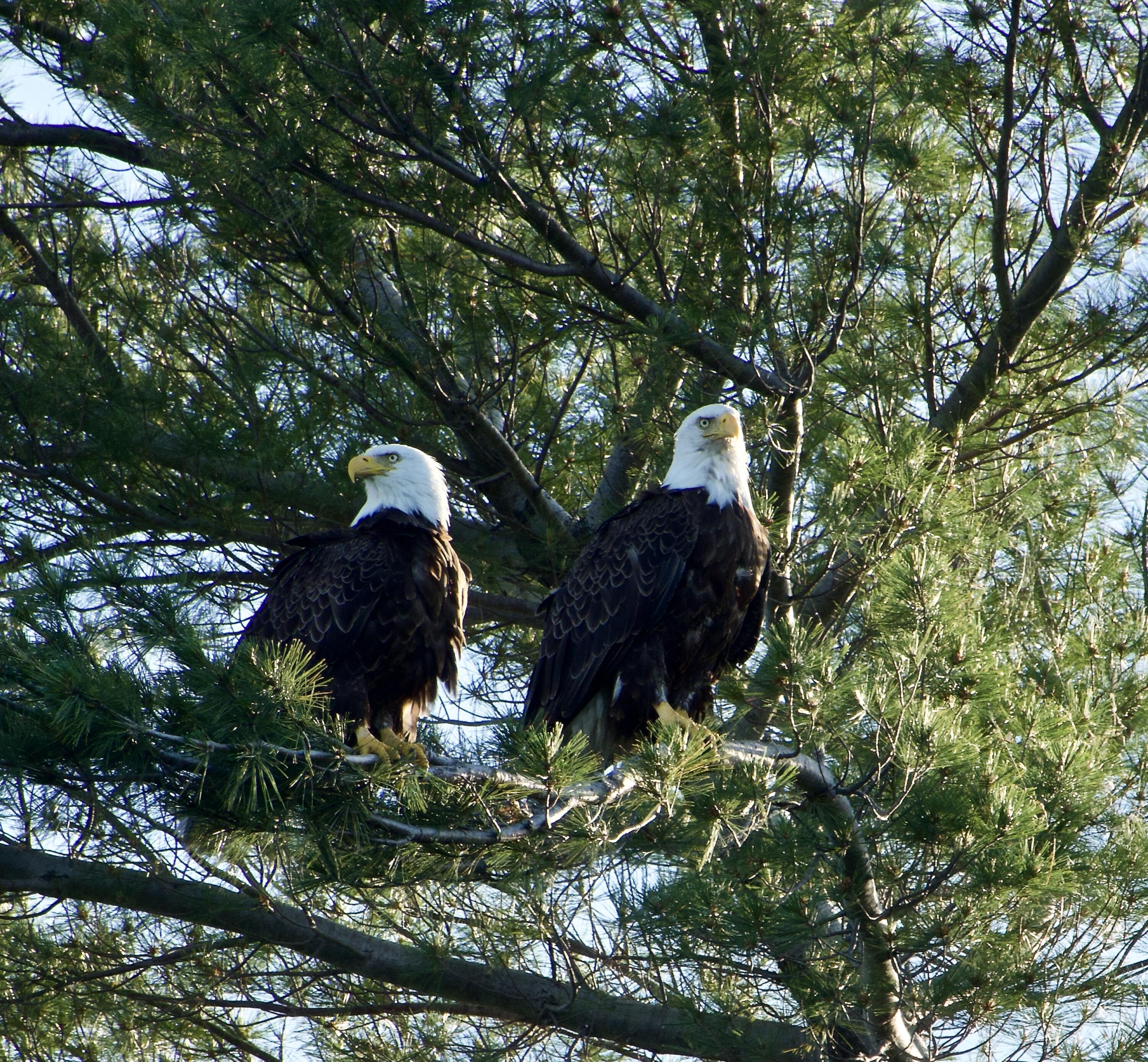 9230 Silver Strand Road