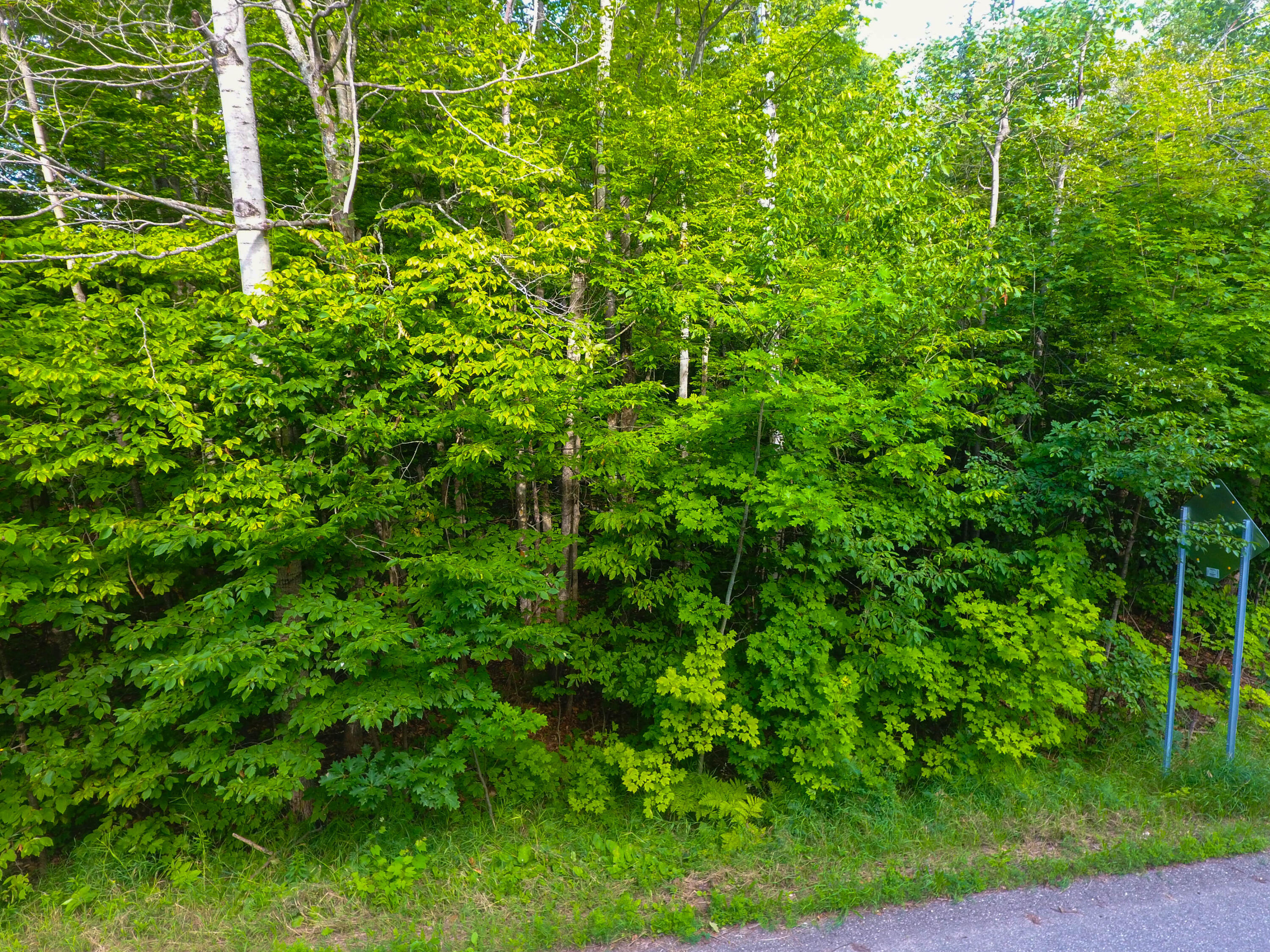 14209 Straitsview Drive