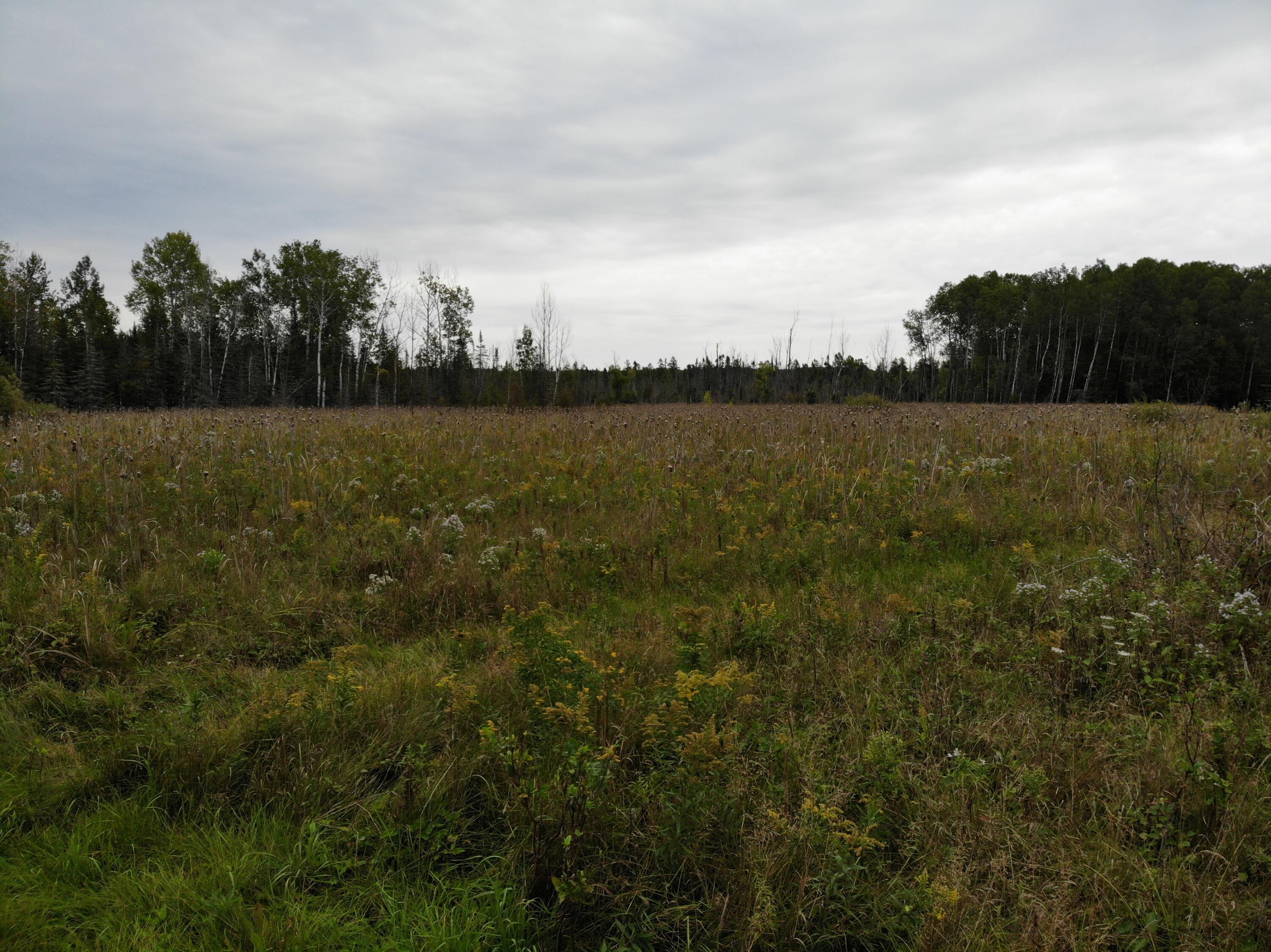 Bluffs Highway, 40 ACRES