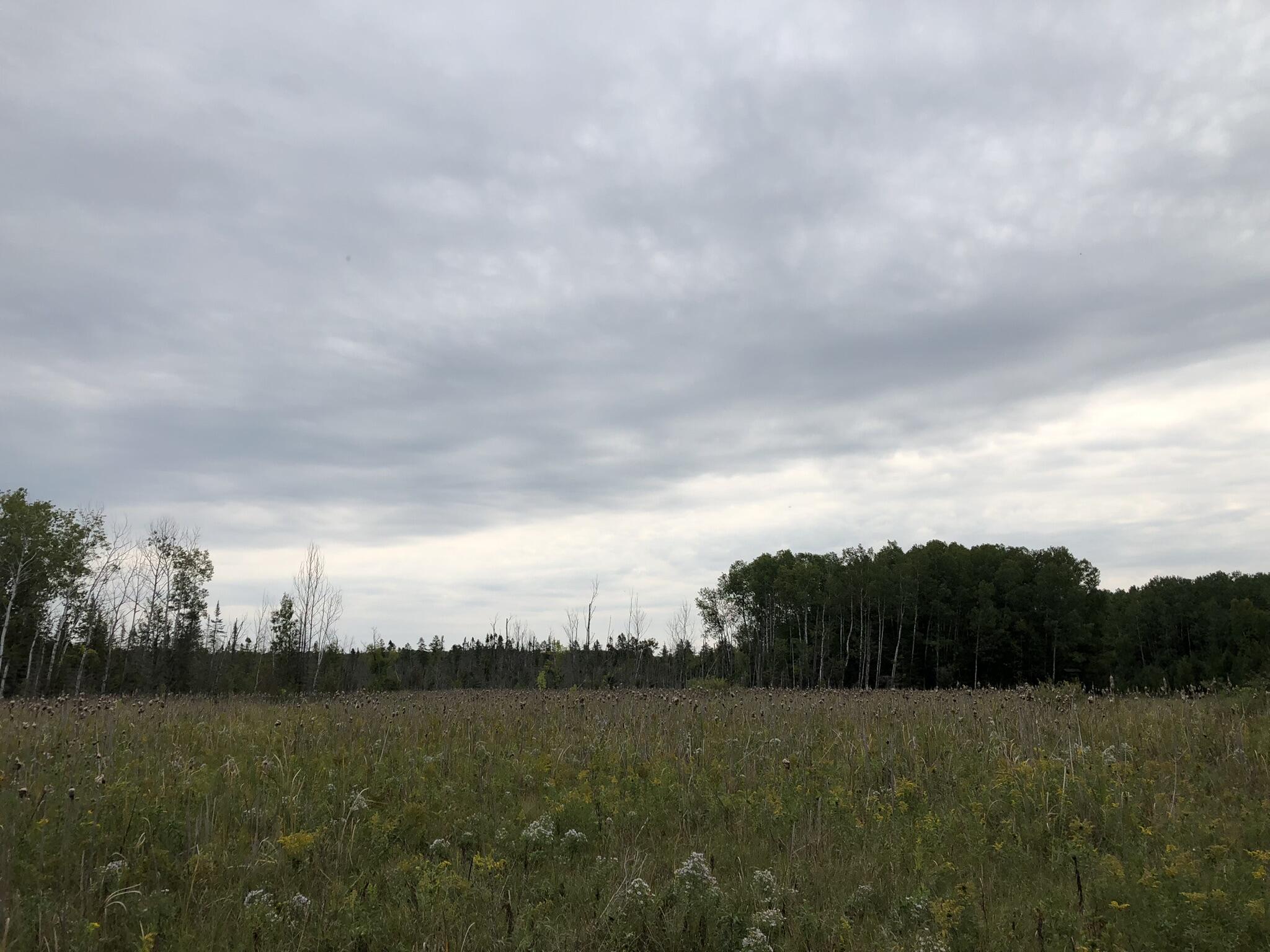 Bluffs Highway, 40 ACRES