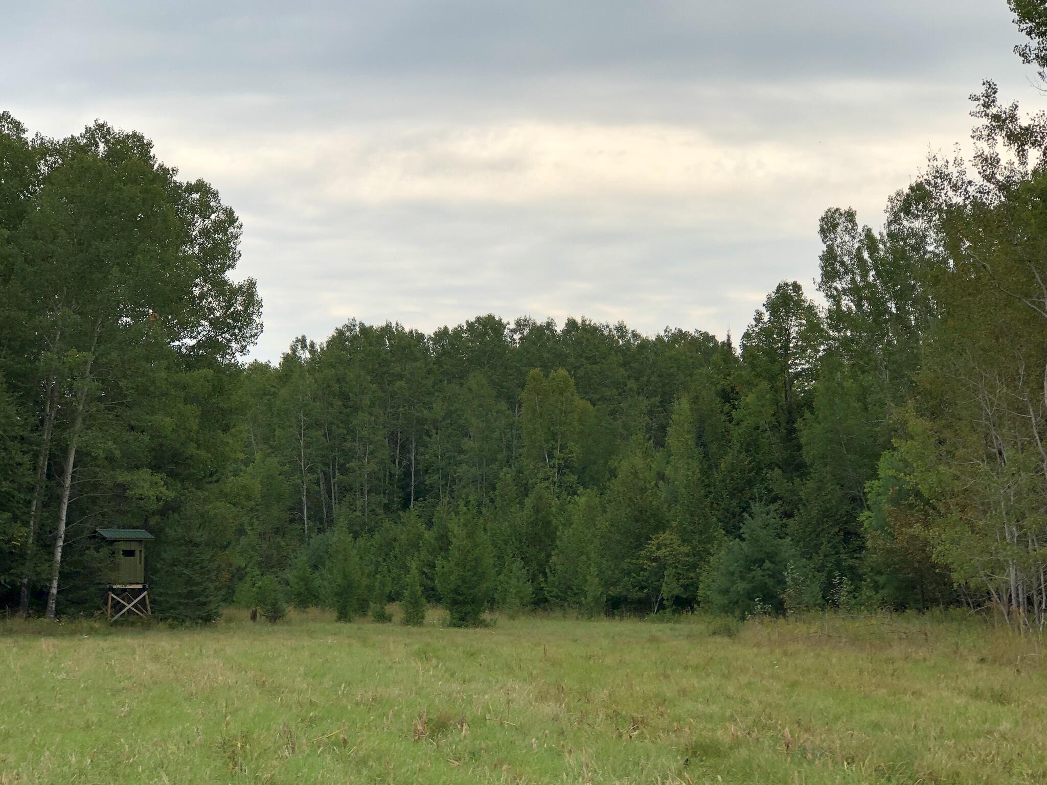 Bluffs Highway, 40 ACRES