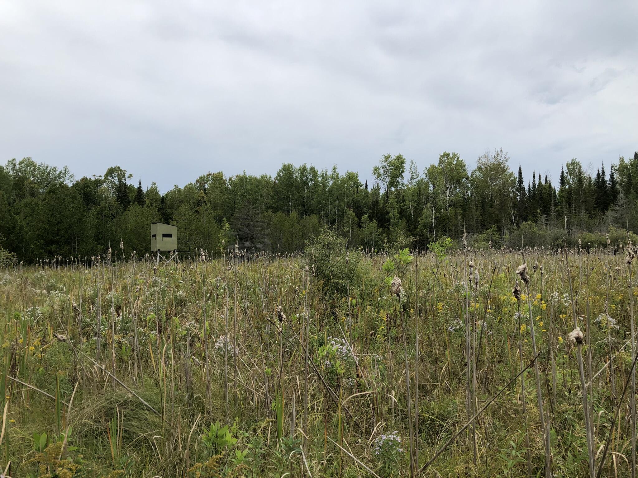 Bluffs Highway, 40 ACRES