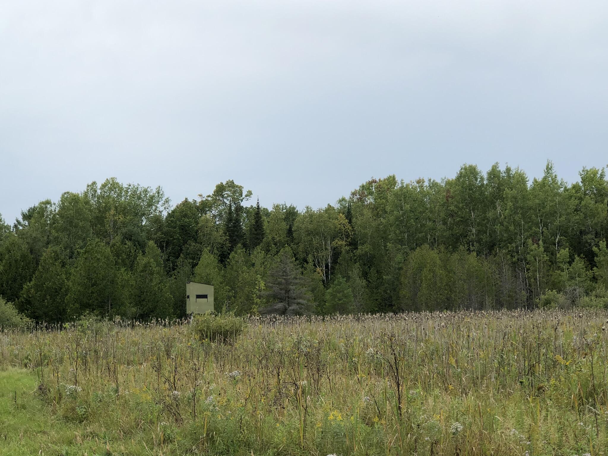 Bluffs Highway, 40 ACRES