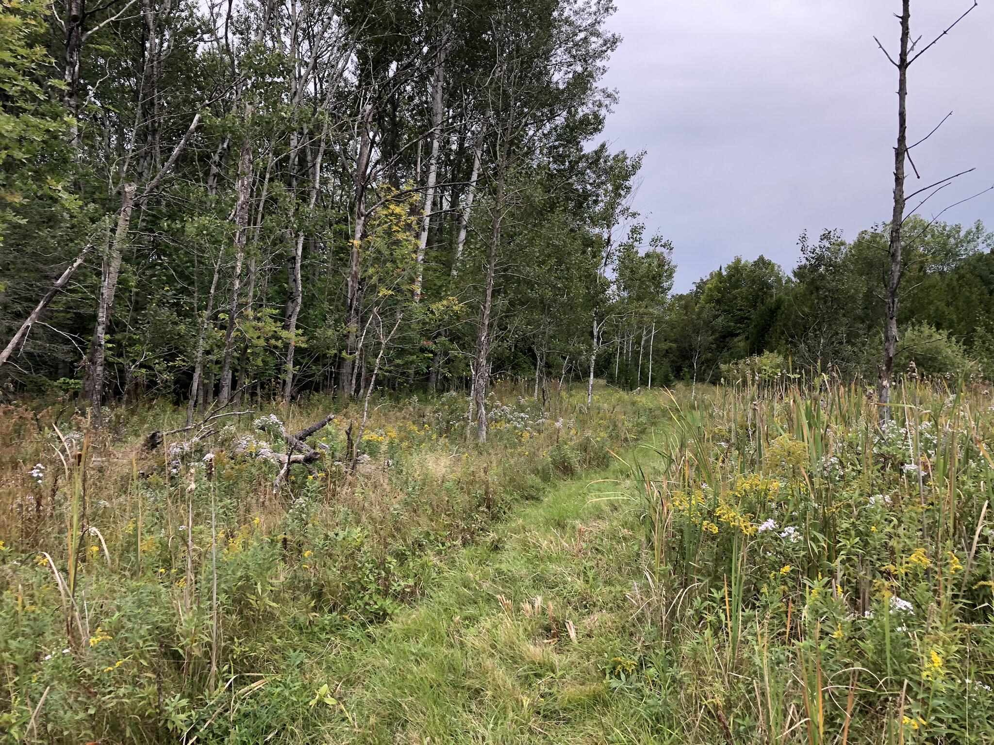 Bluffs Highway, 40 ACRES